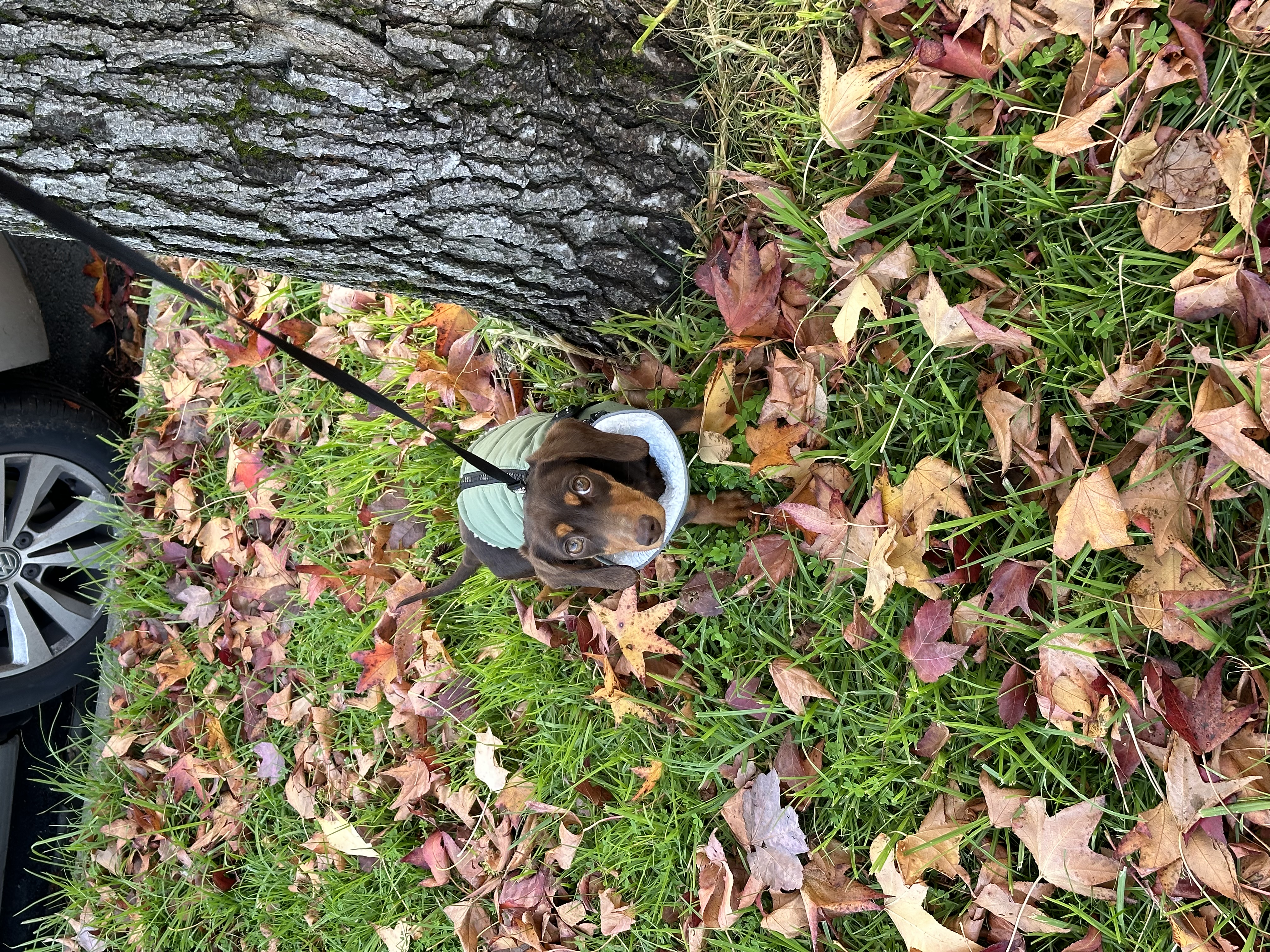 image-12