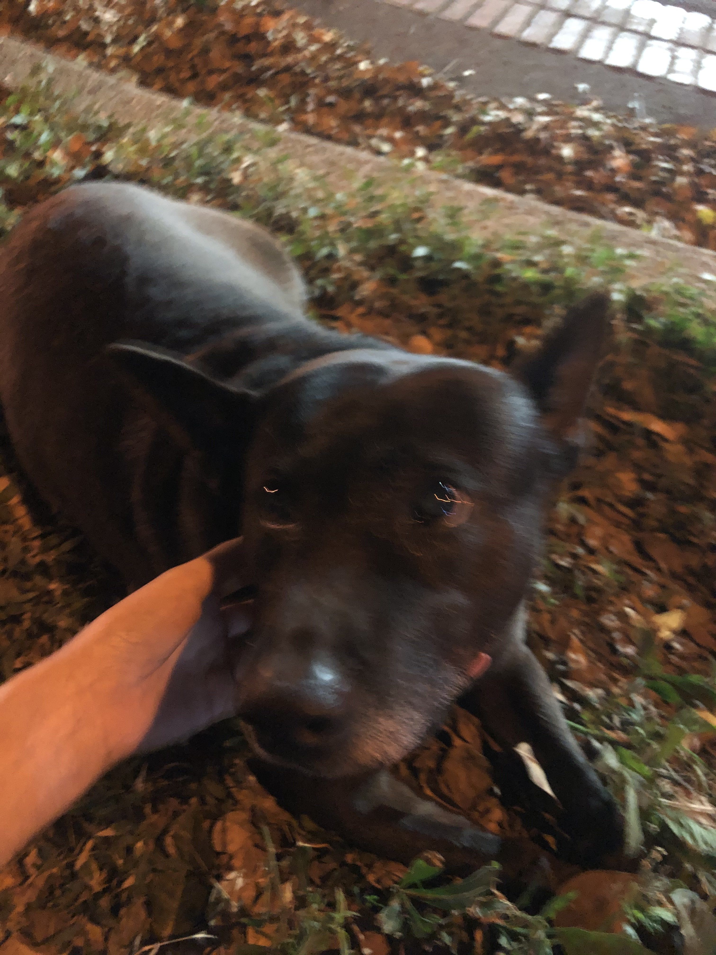 image-6