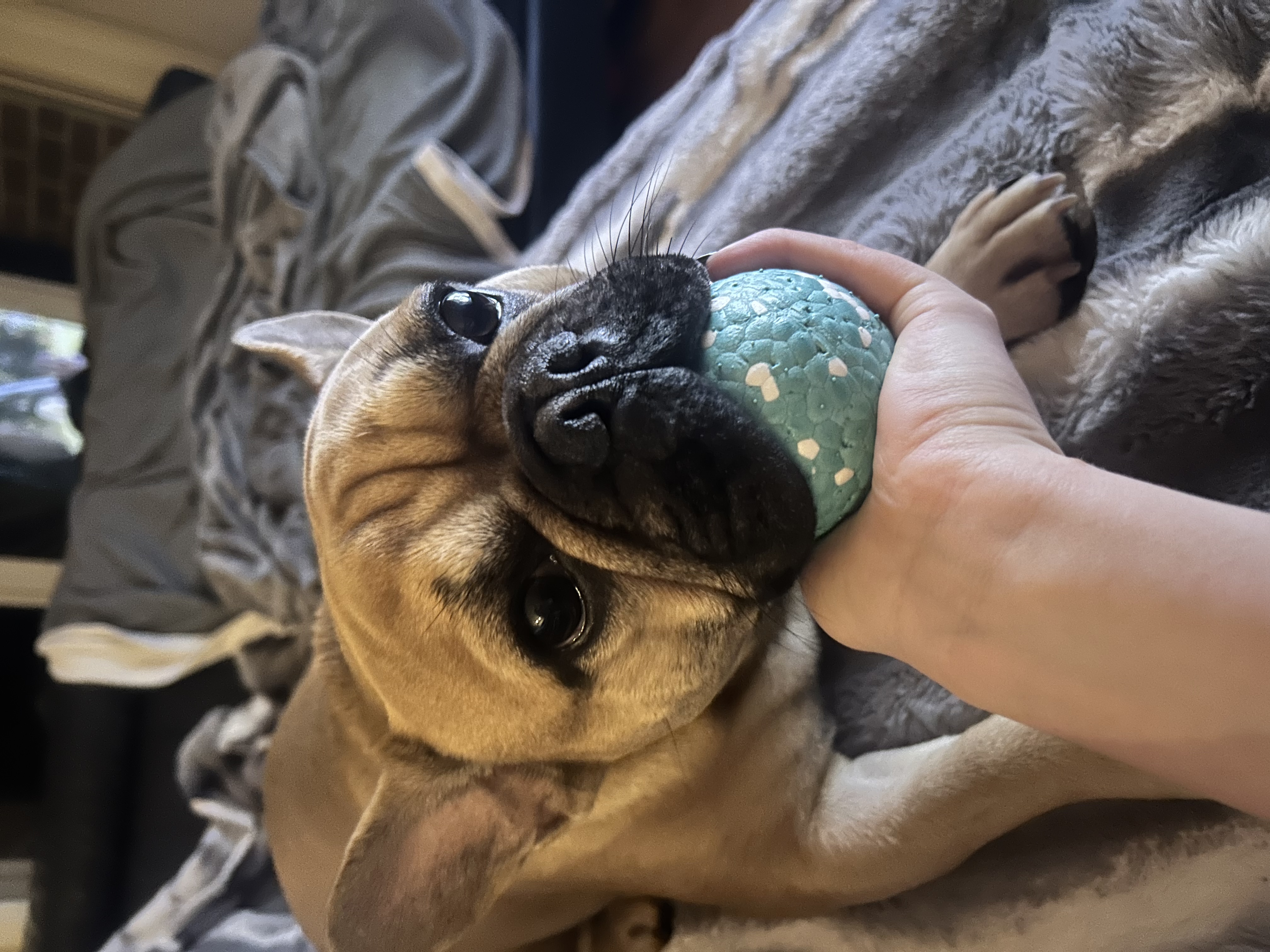 image-6