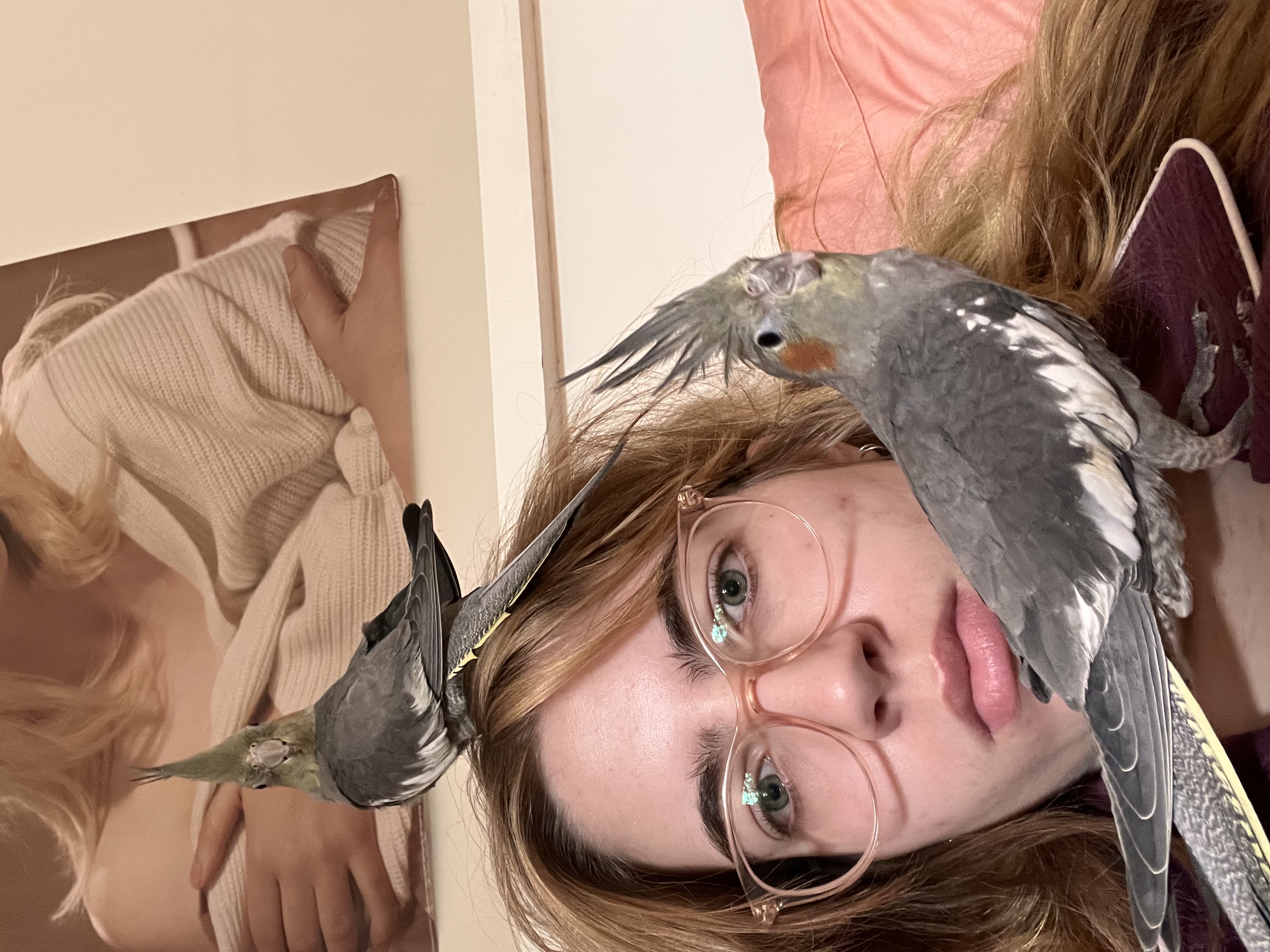 image-11