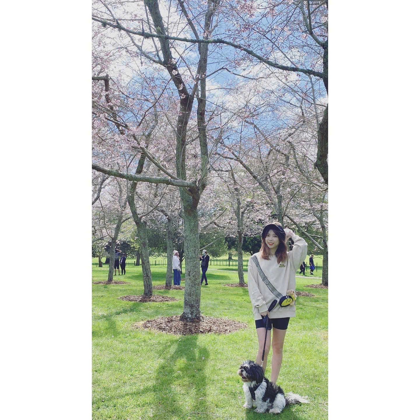 image-5