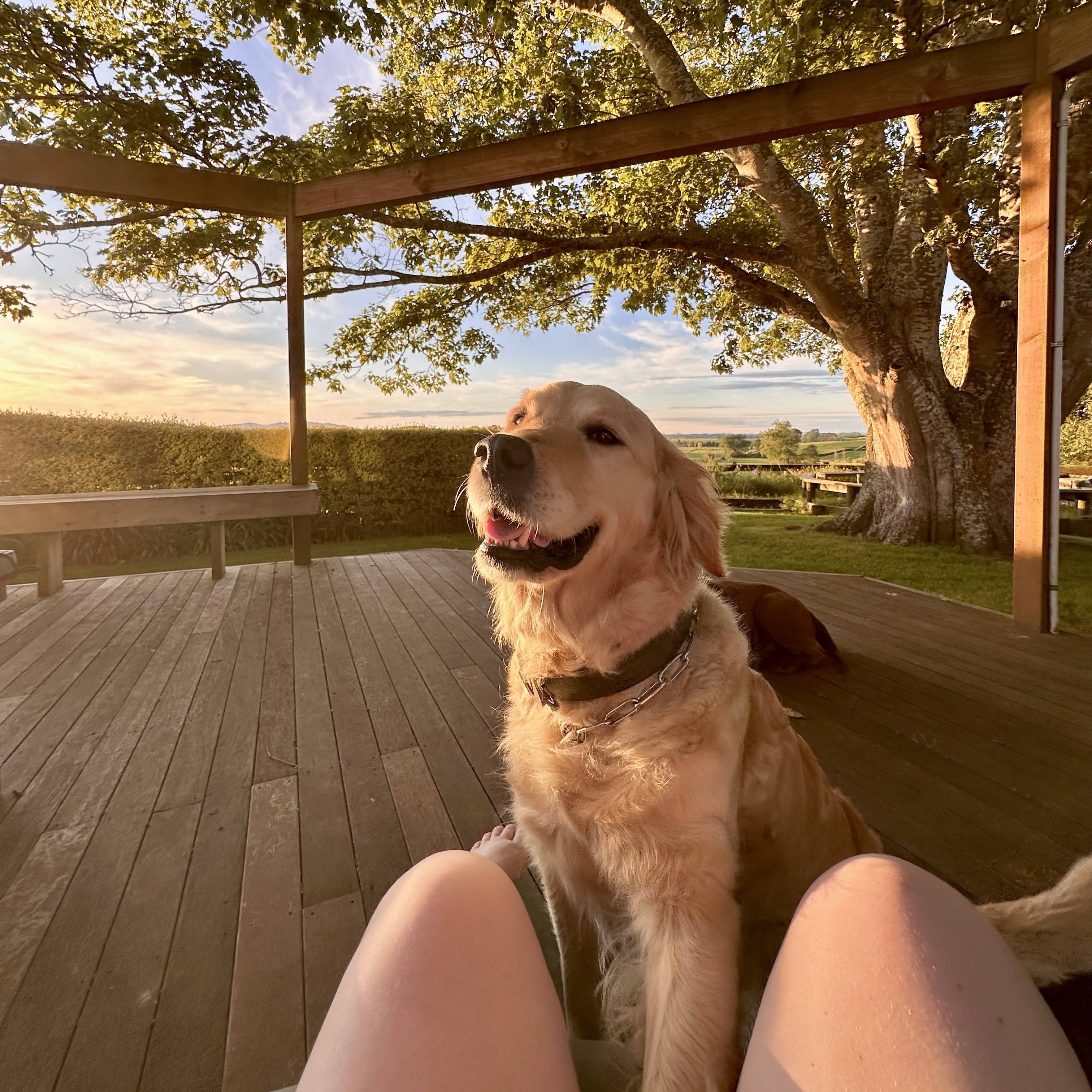 Lucy