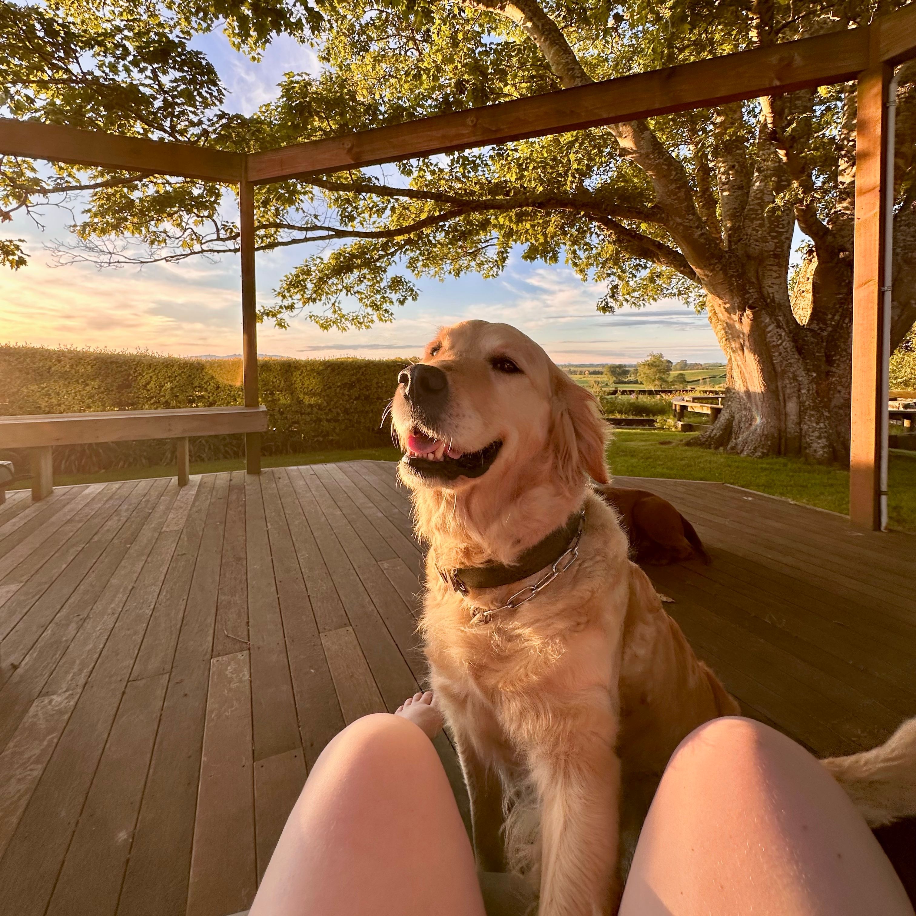 Lucy
