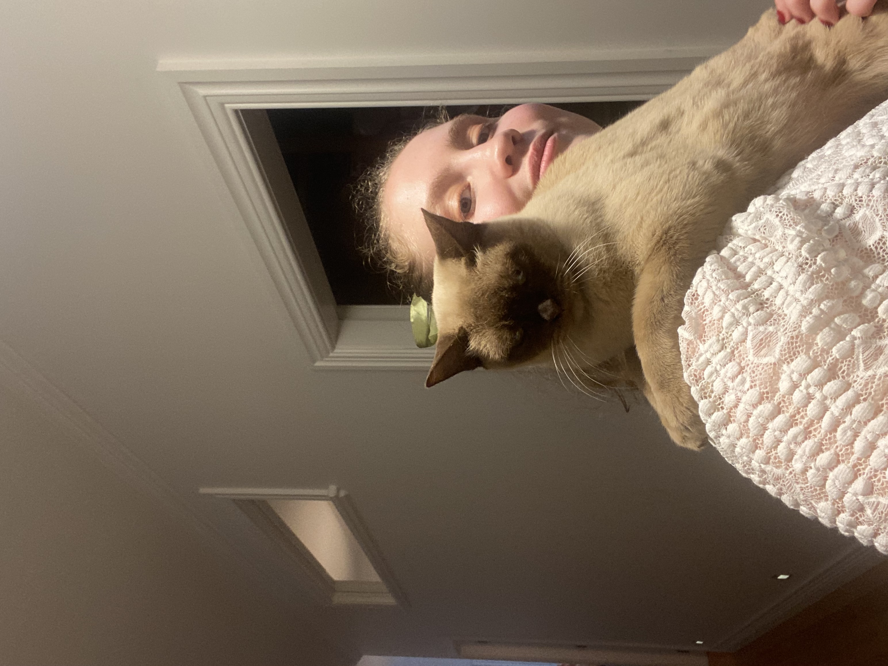 image-11