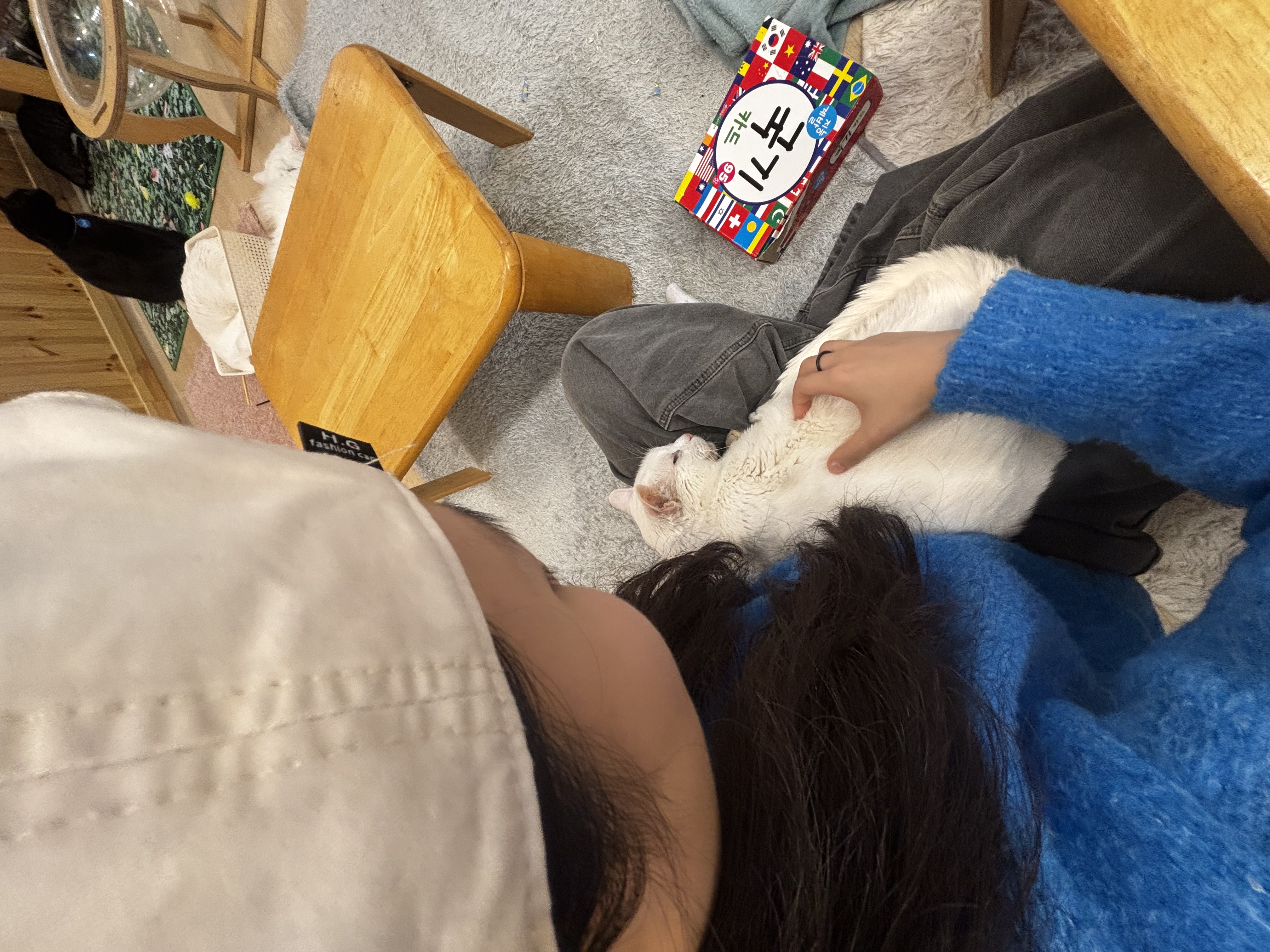 image-5