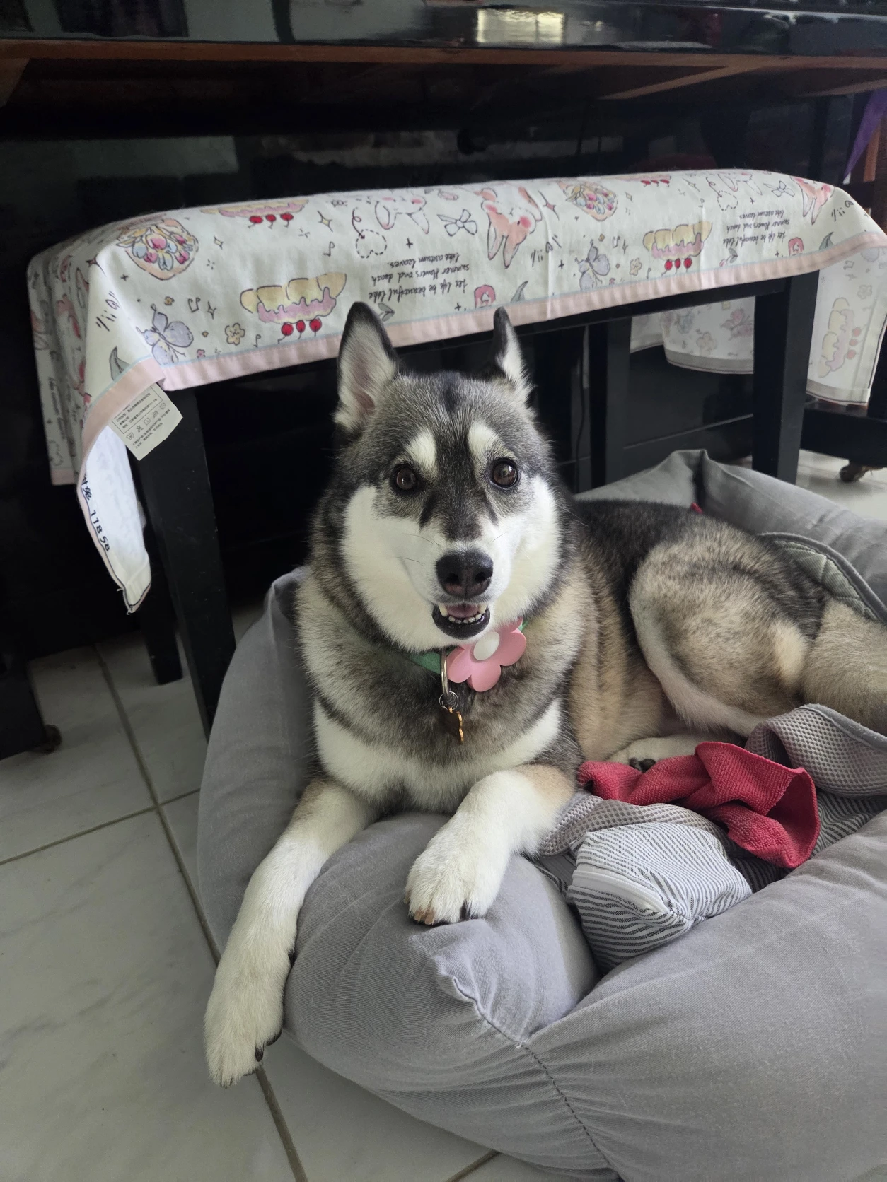 image-18