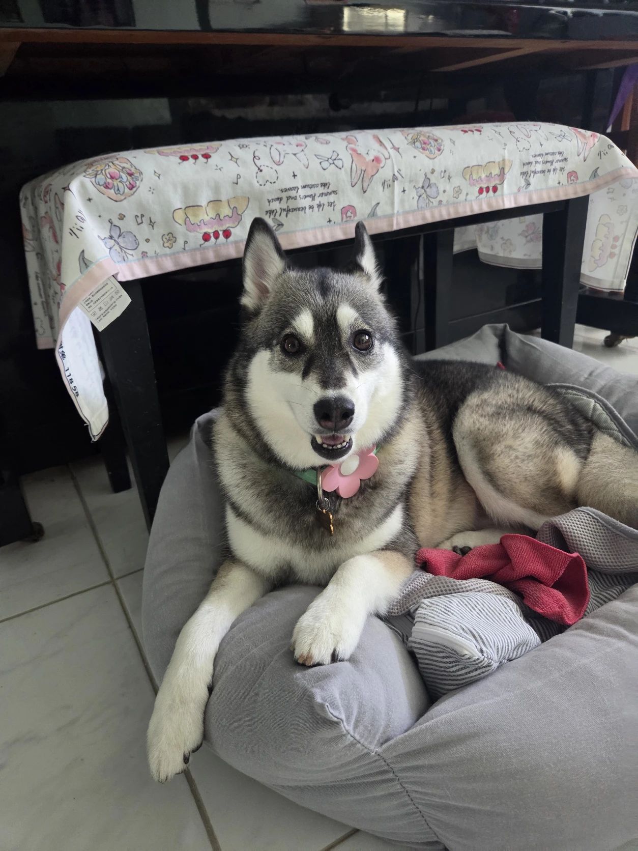 image-18
