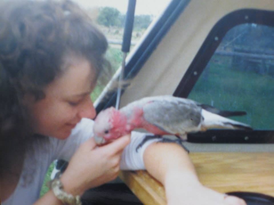 image-7