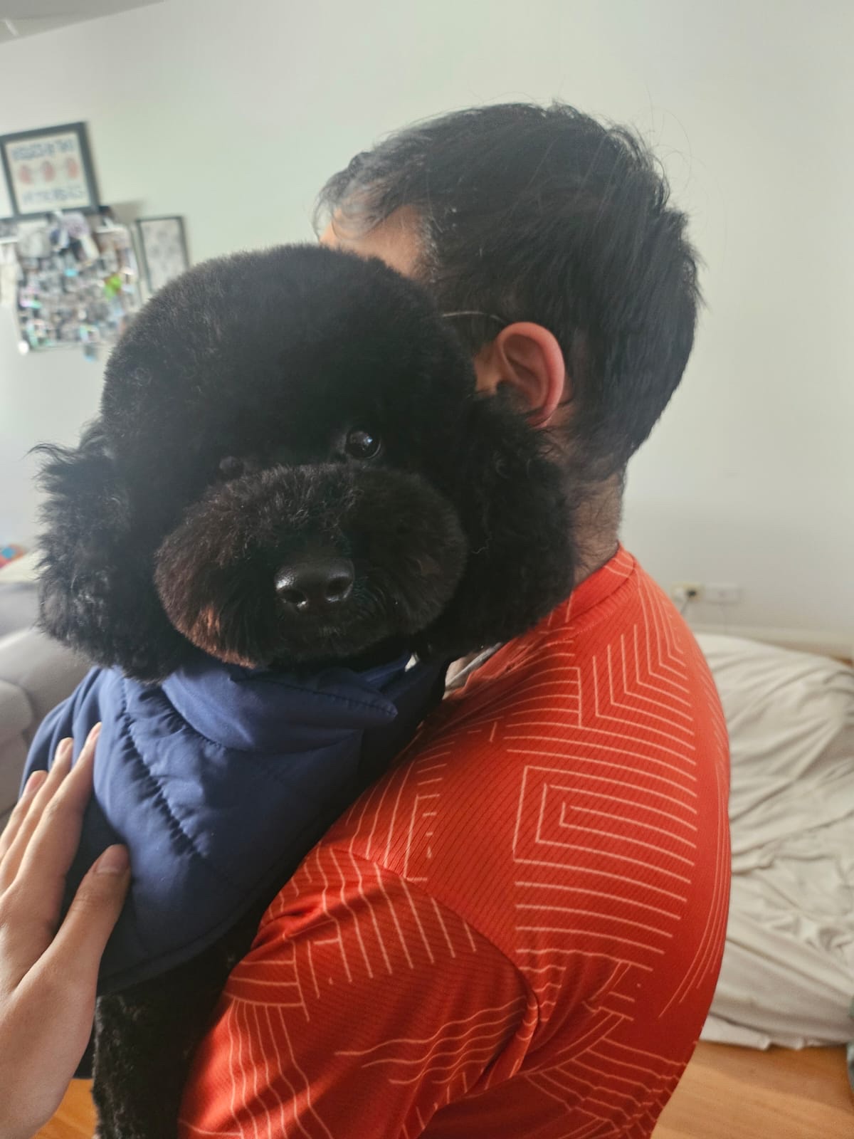 image-6