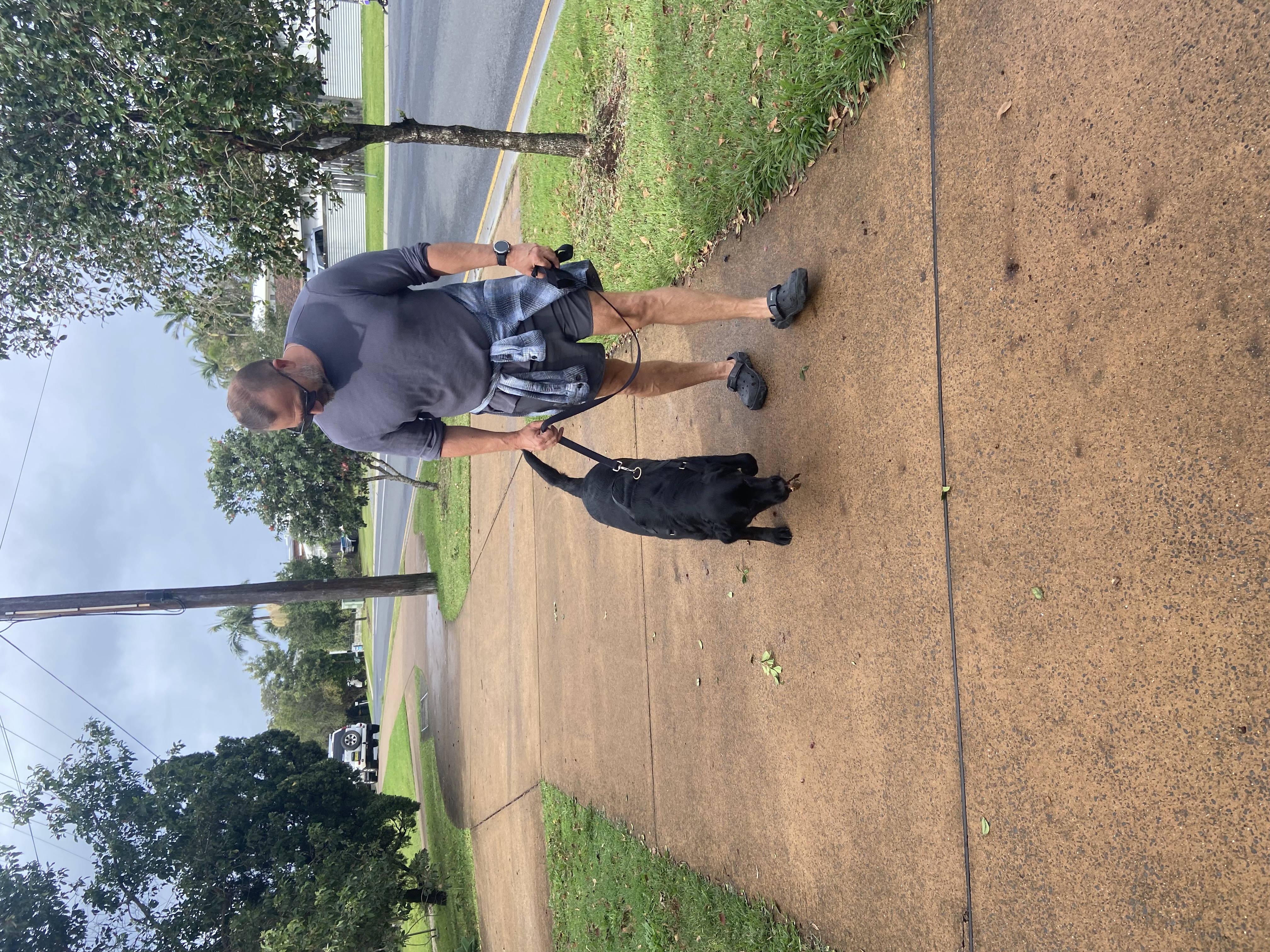 image-17