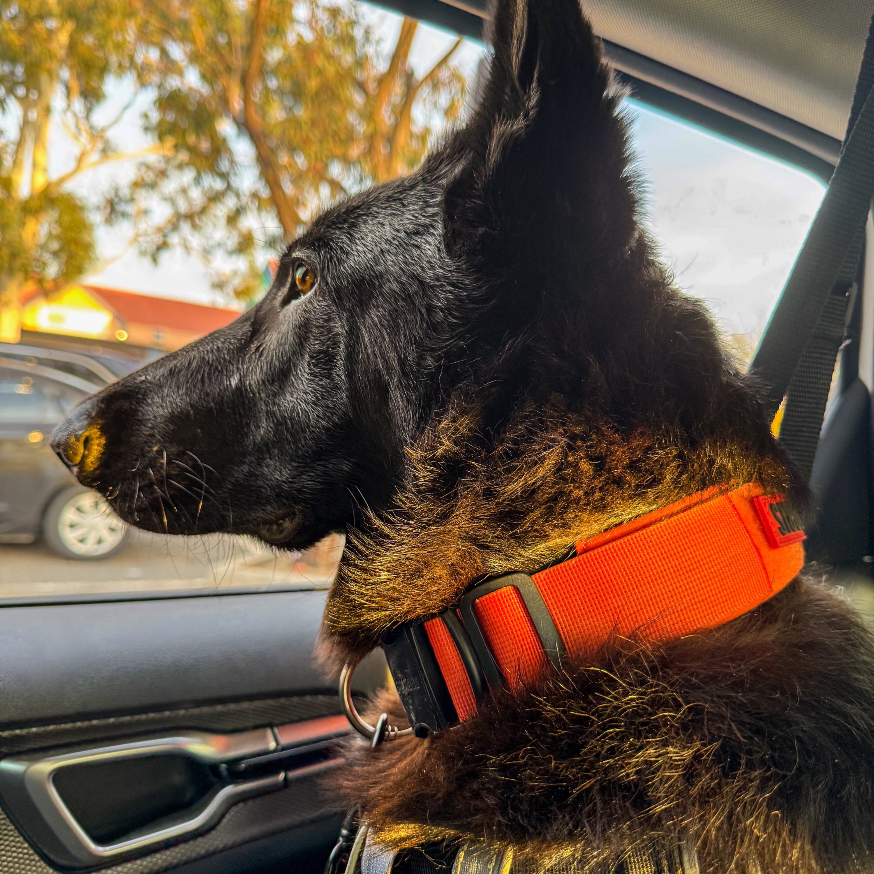 Silas
