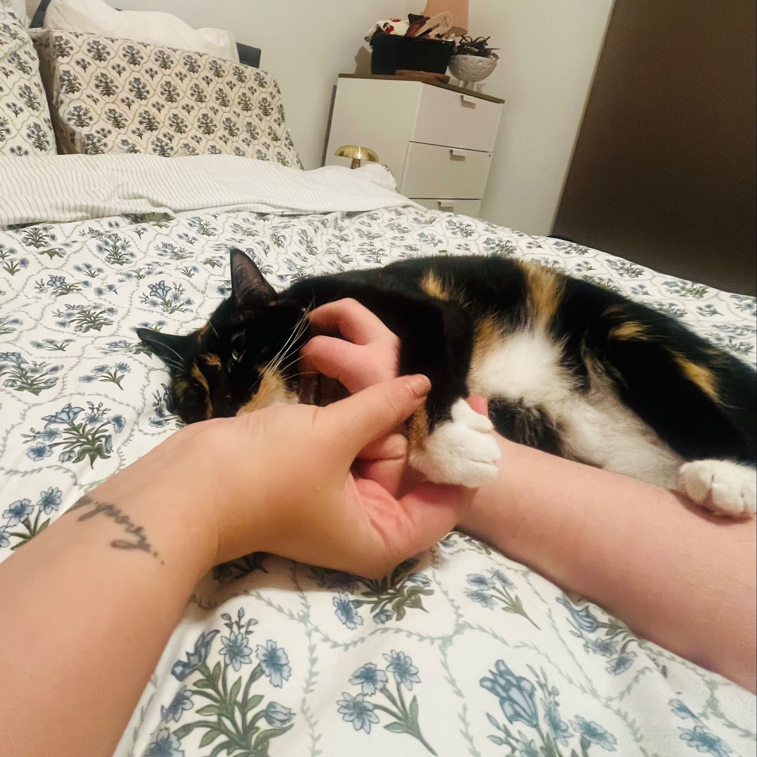 clementine