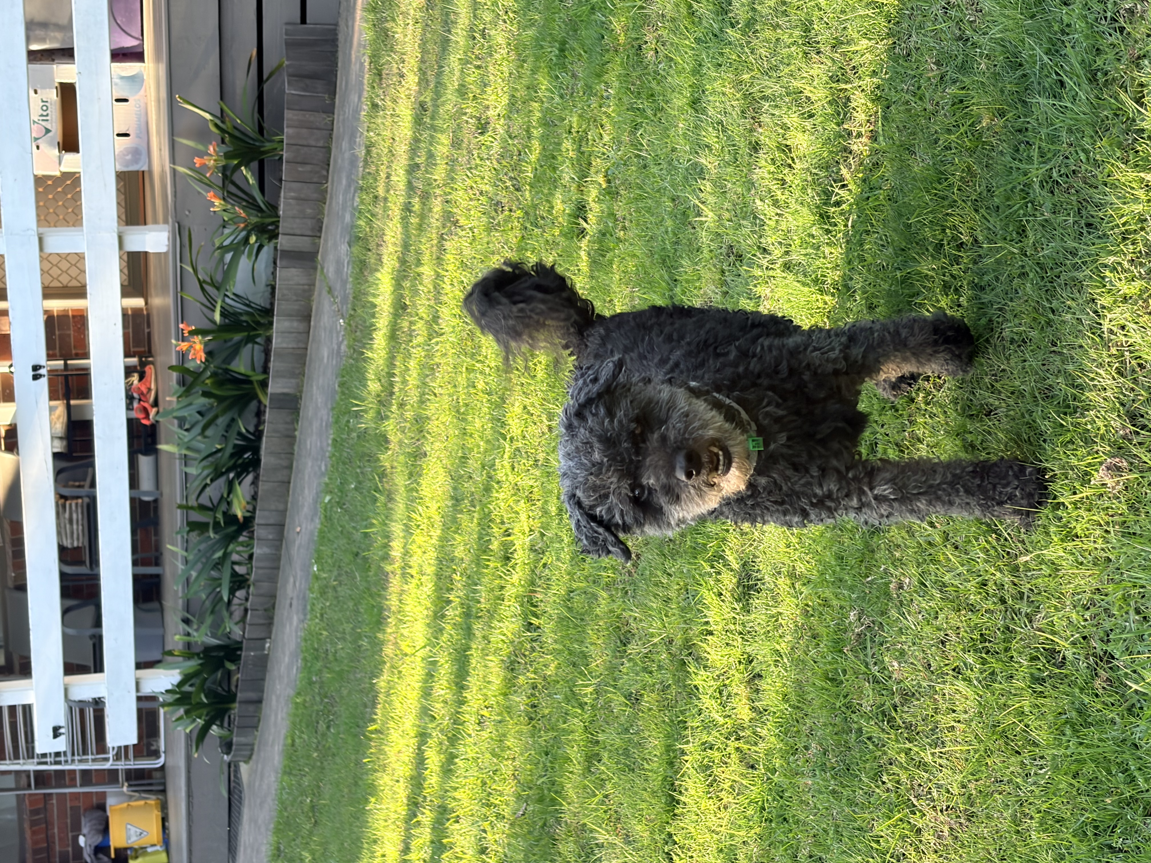 image-5