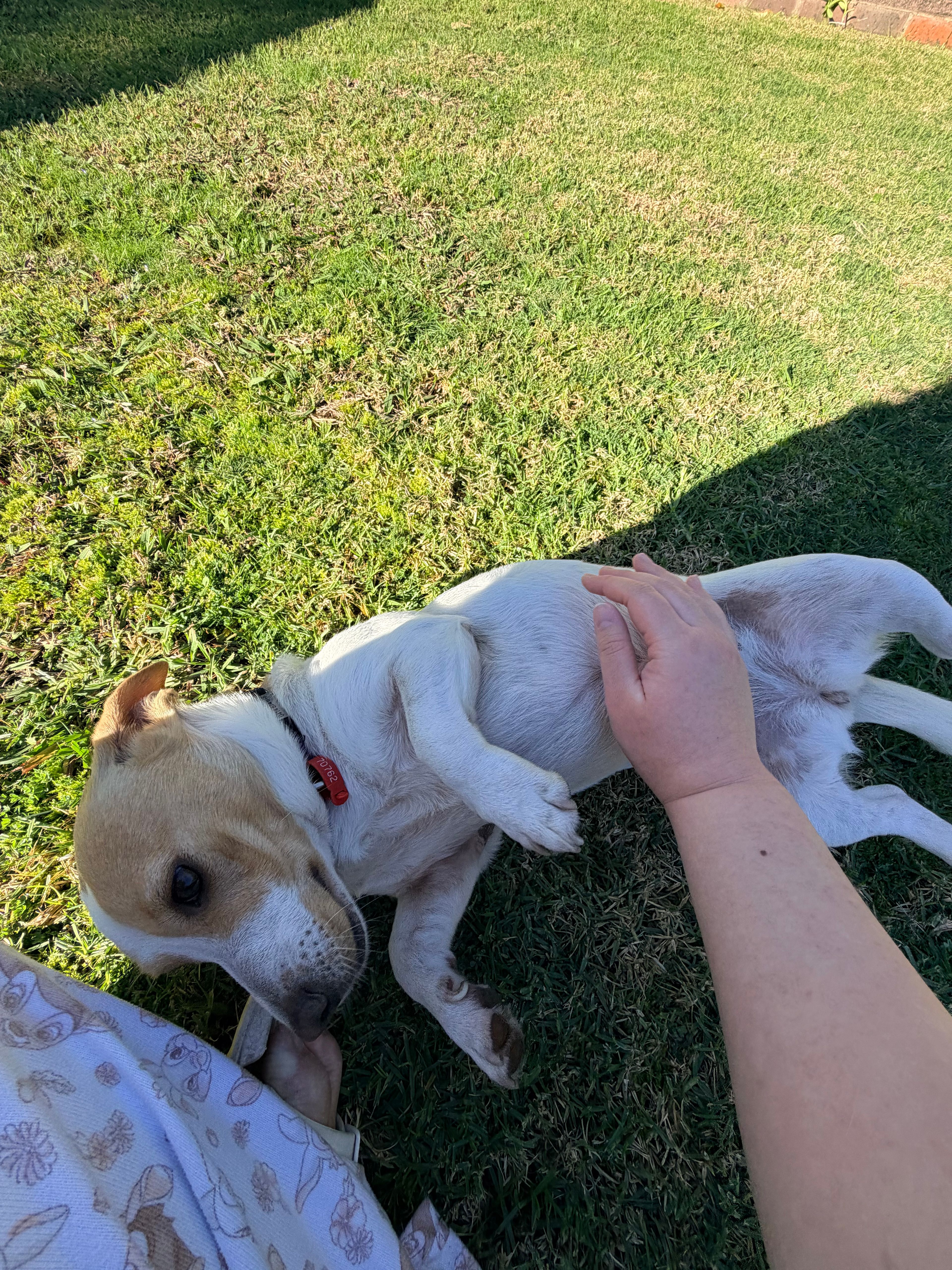 image-10