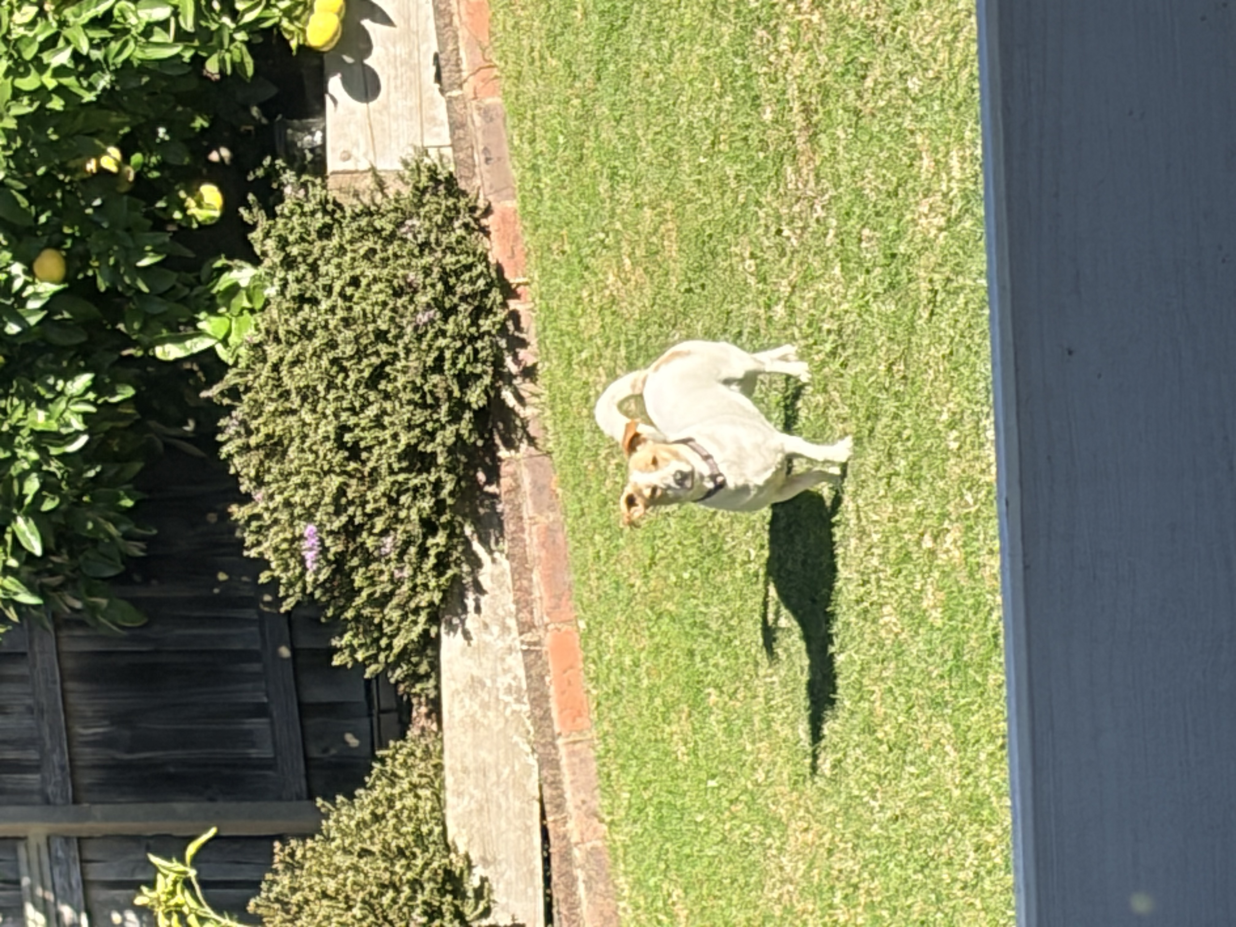image-18