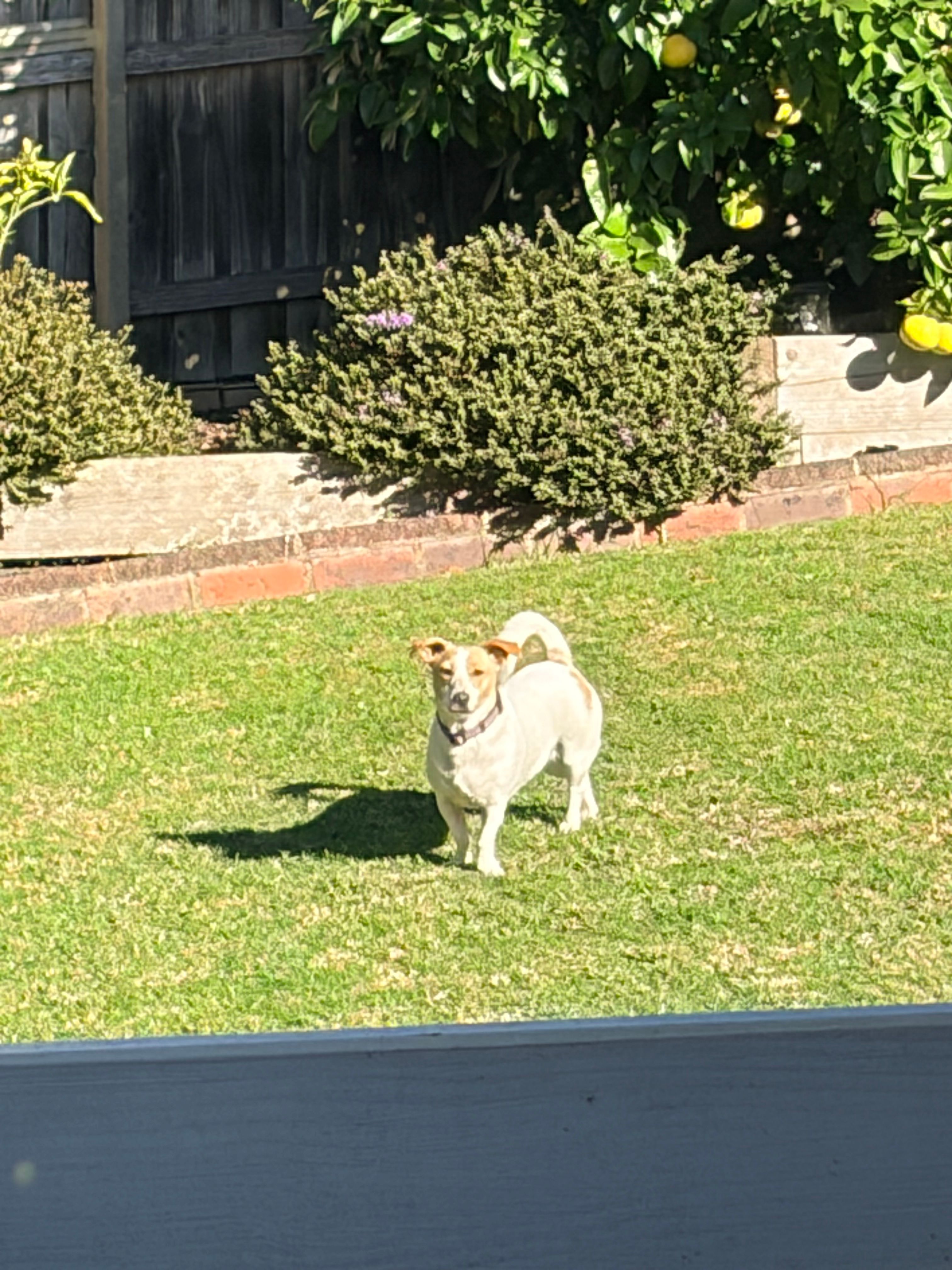image-18