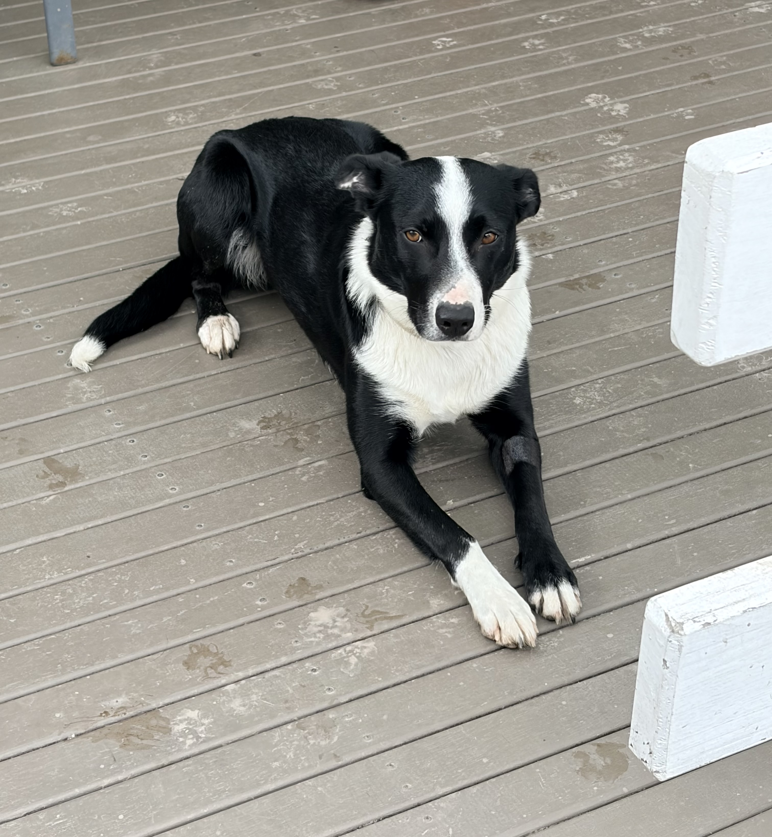 image-9