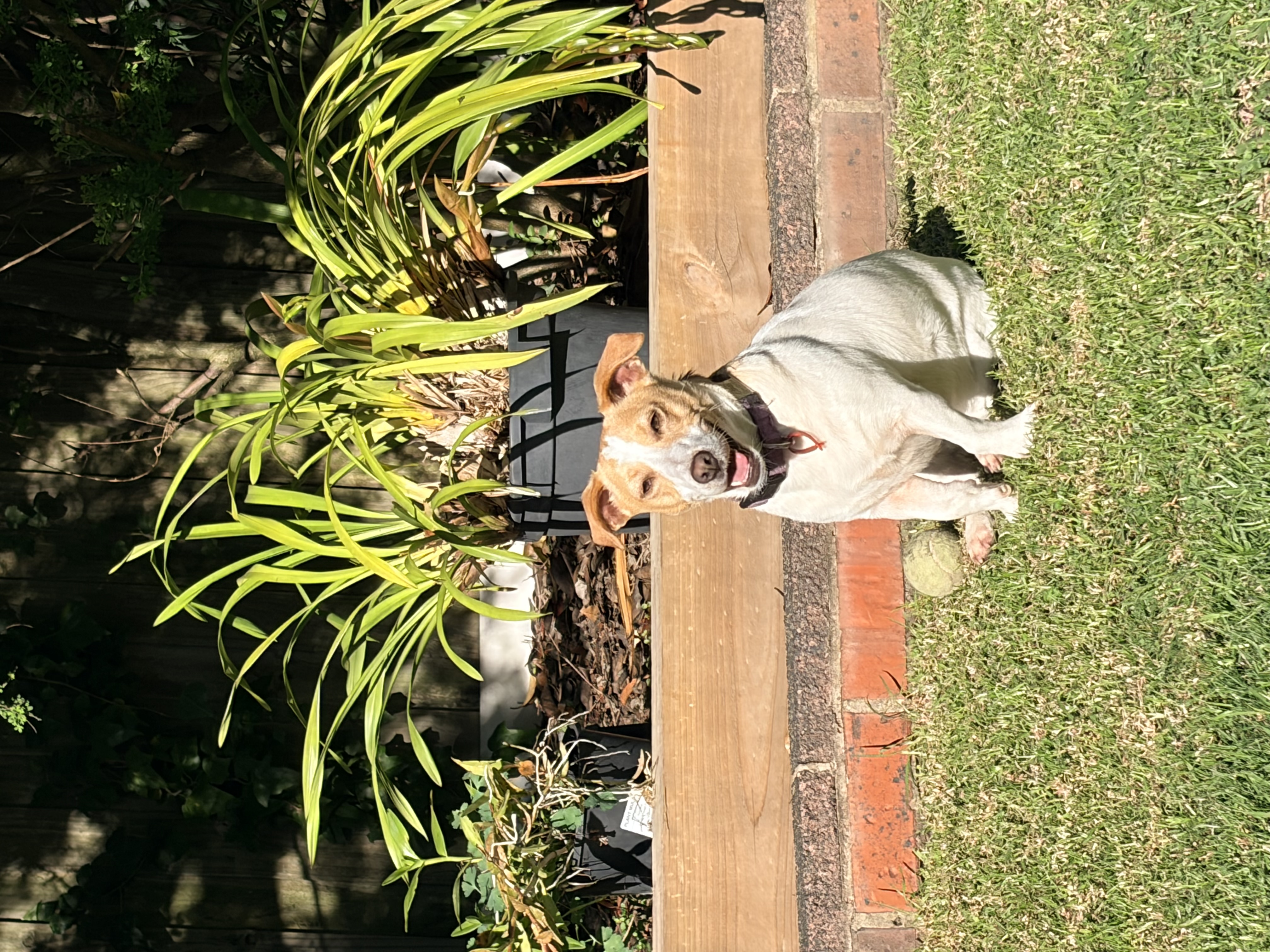 image-3