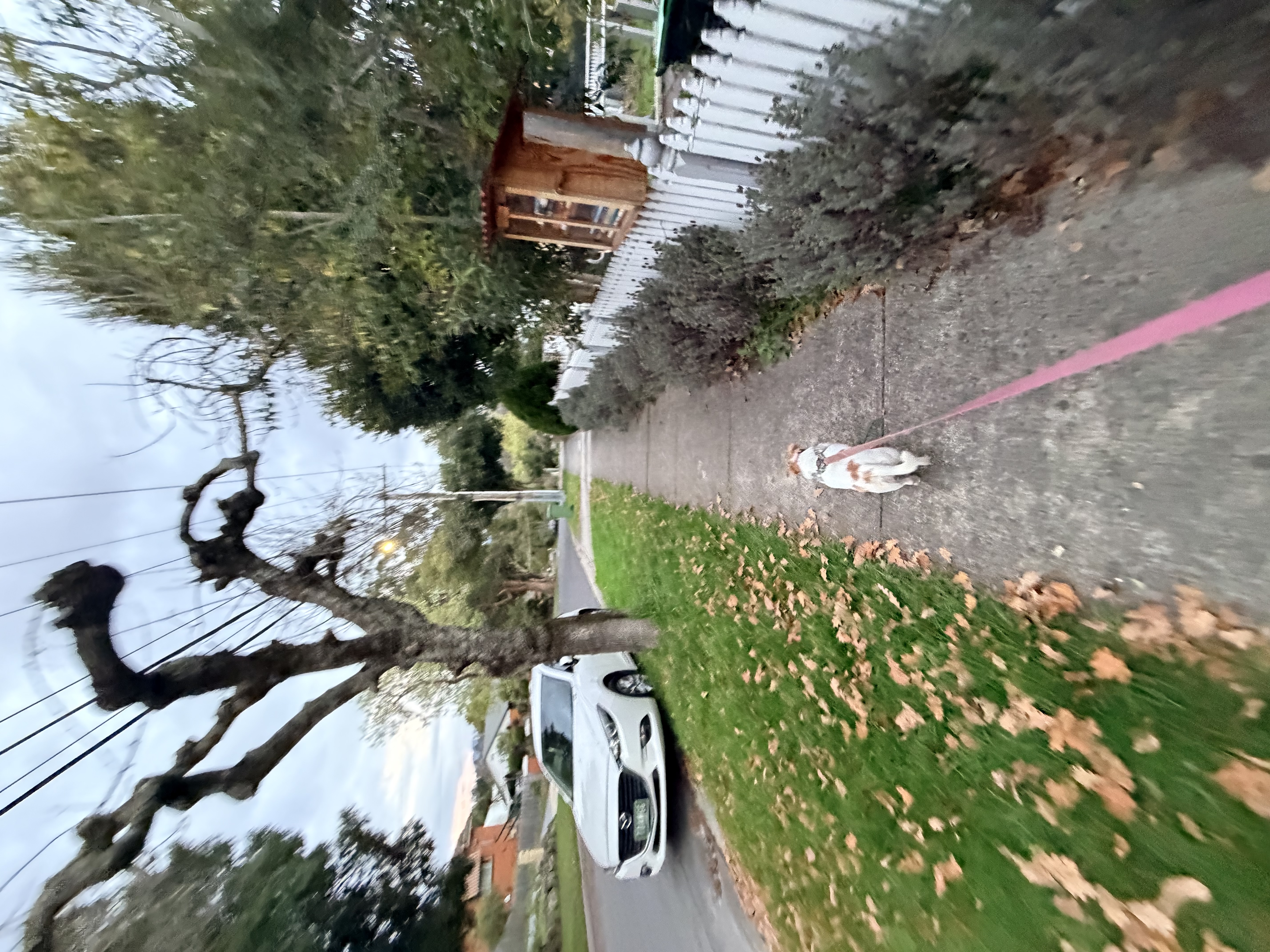 image-19