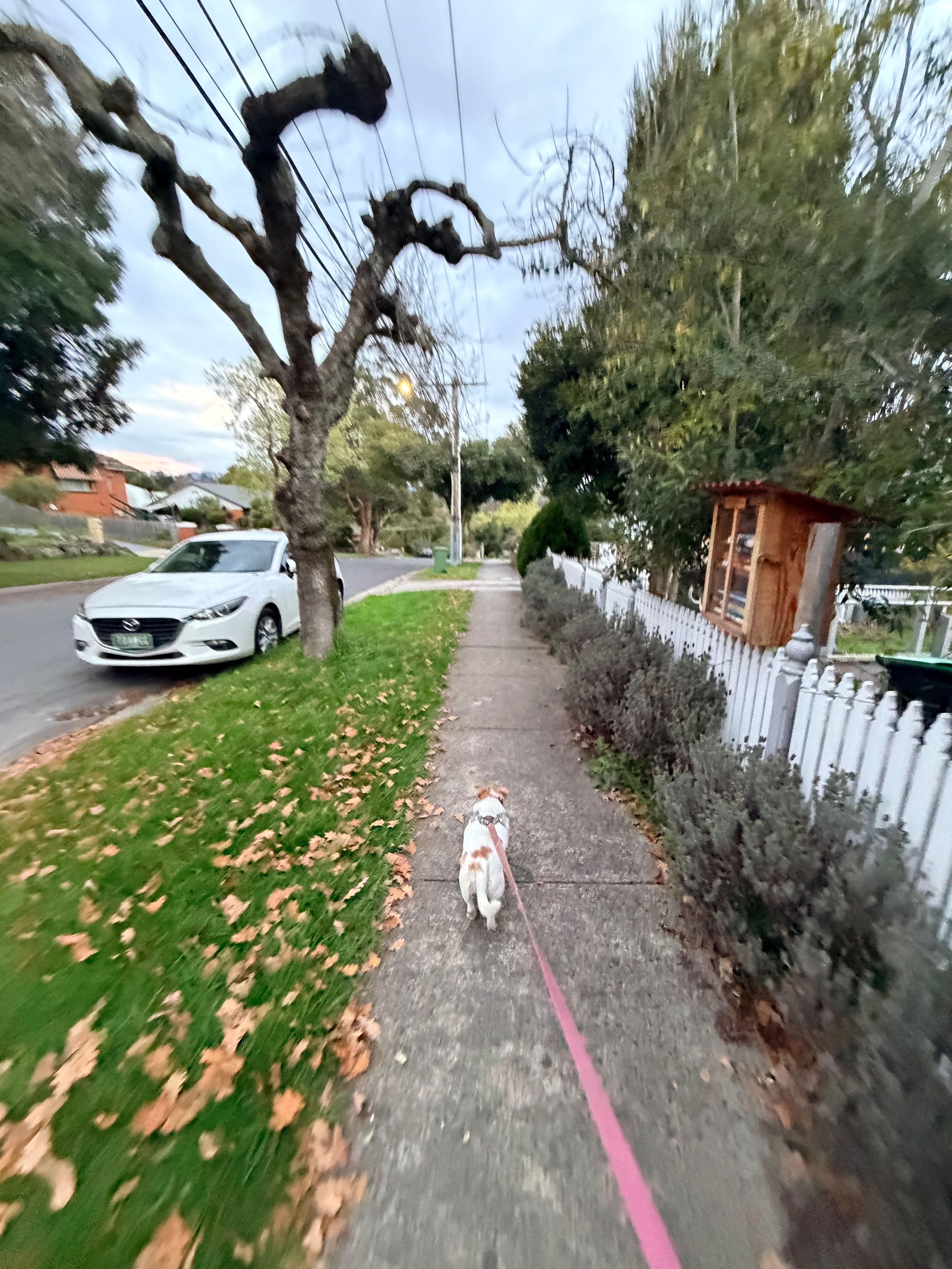 image-19