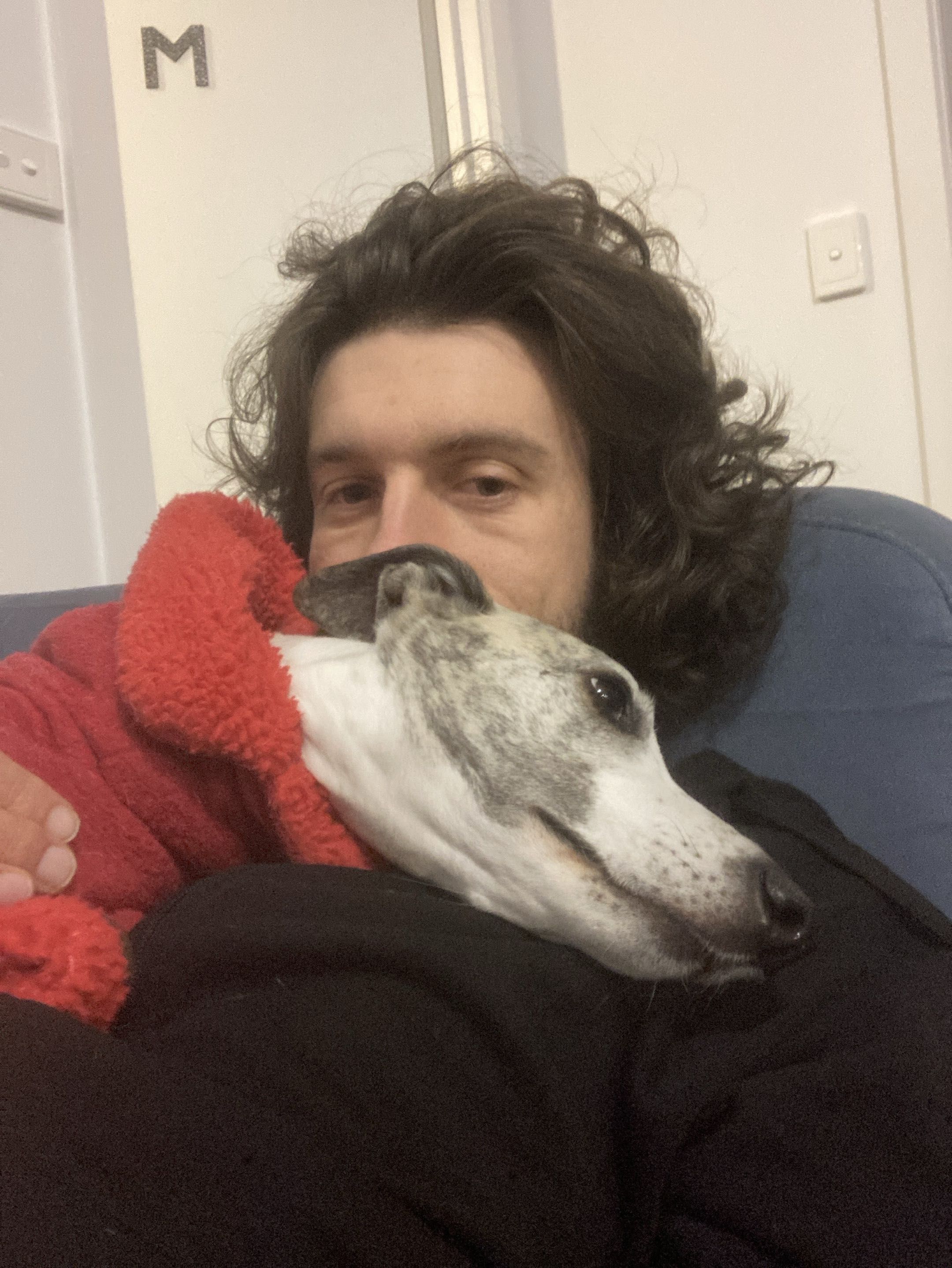 image-7
