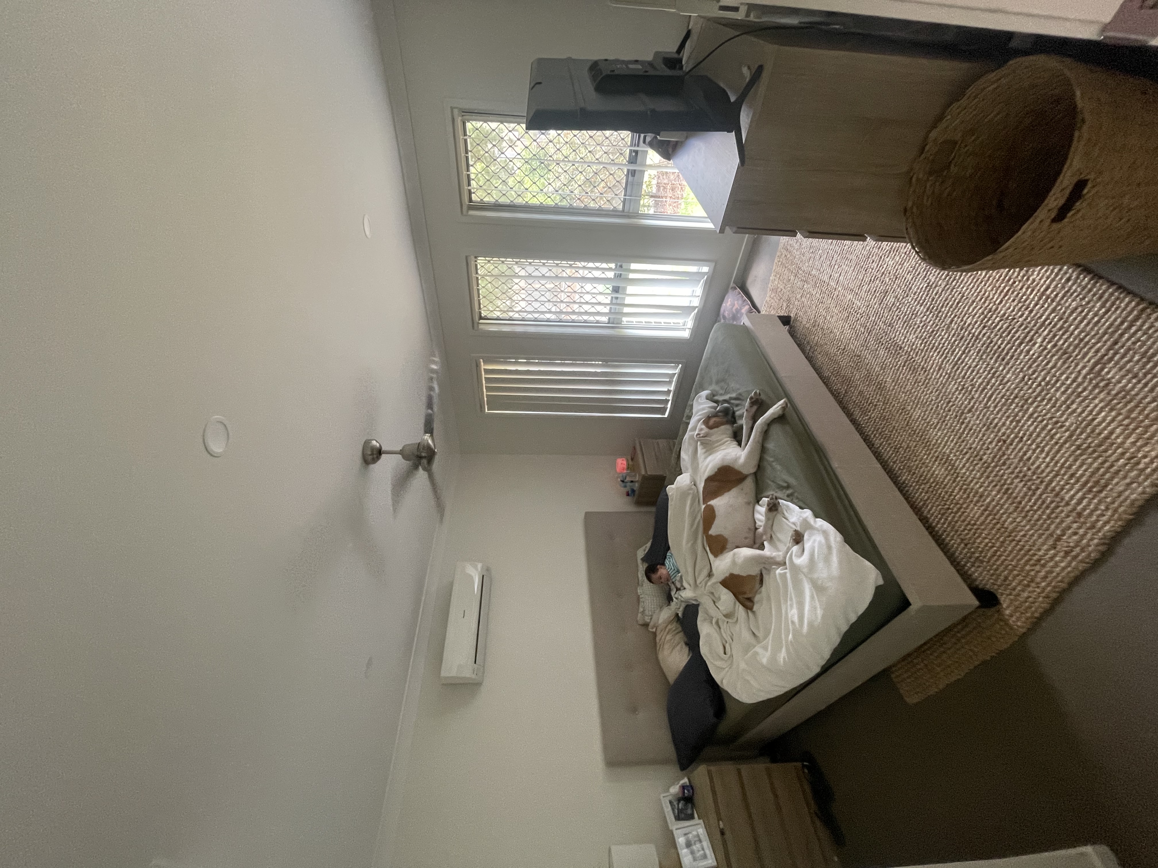 image-20