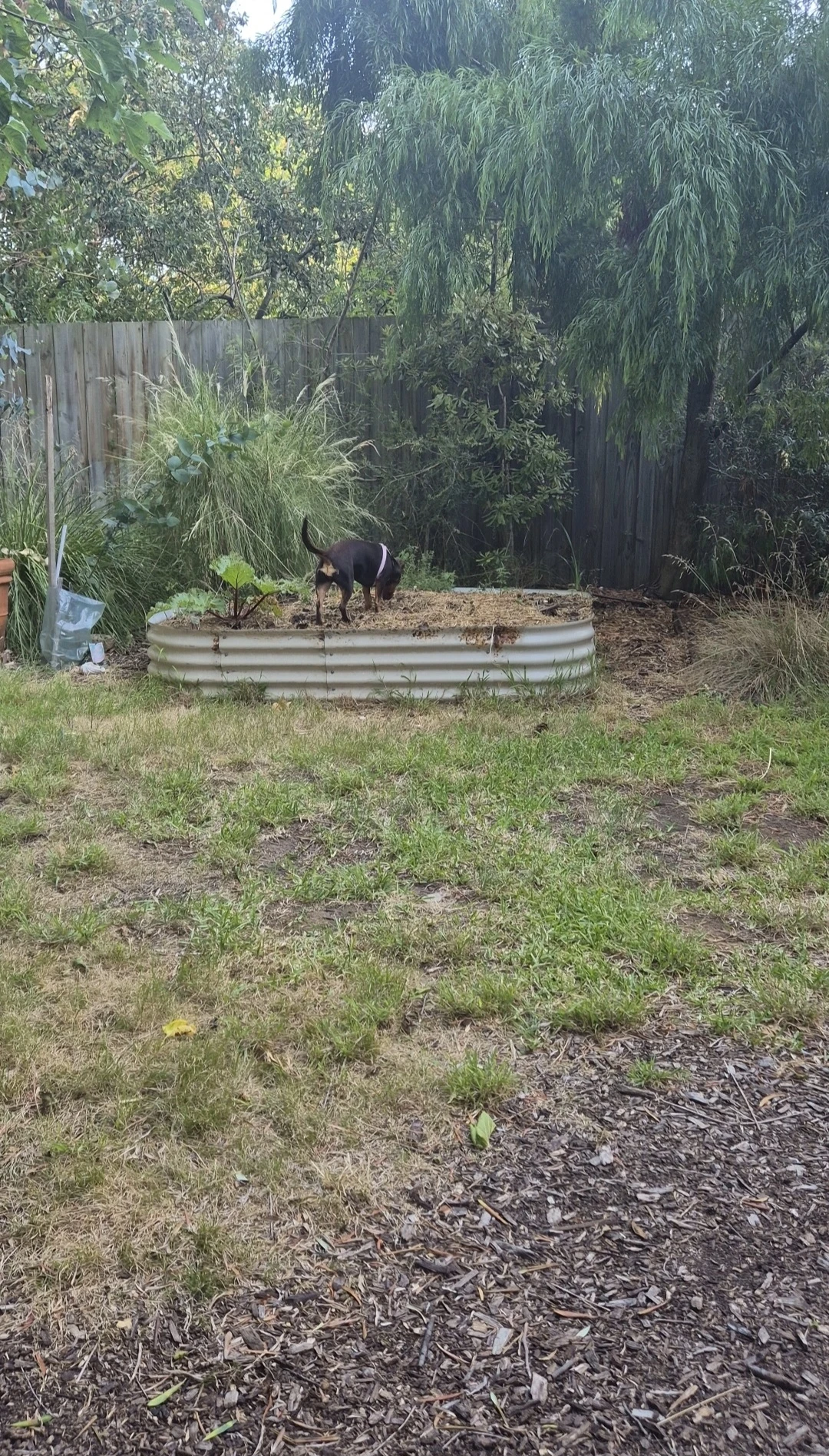 image-9
