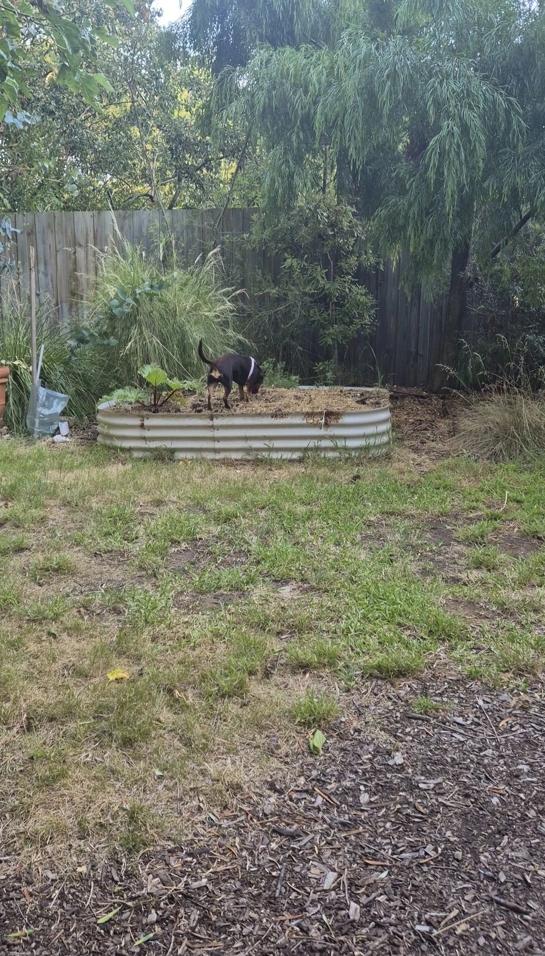 image-9