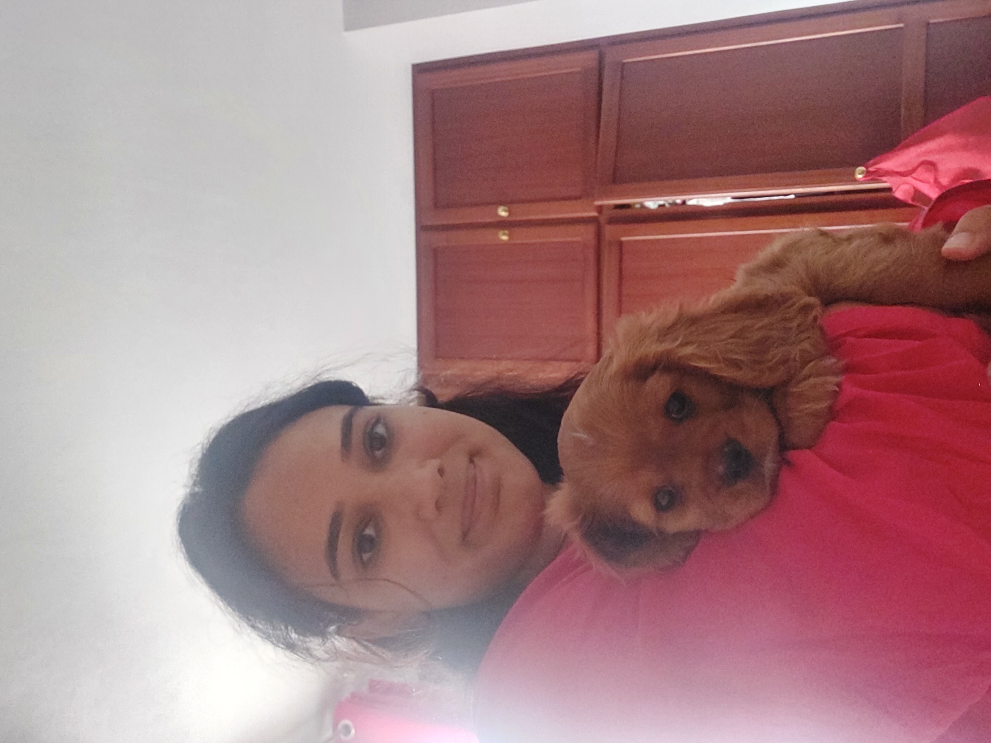 image-11