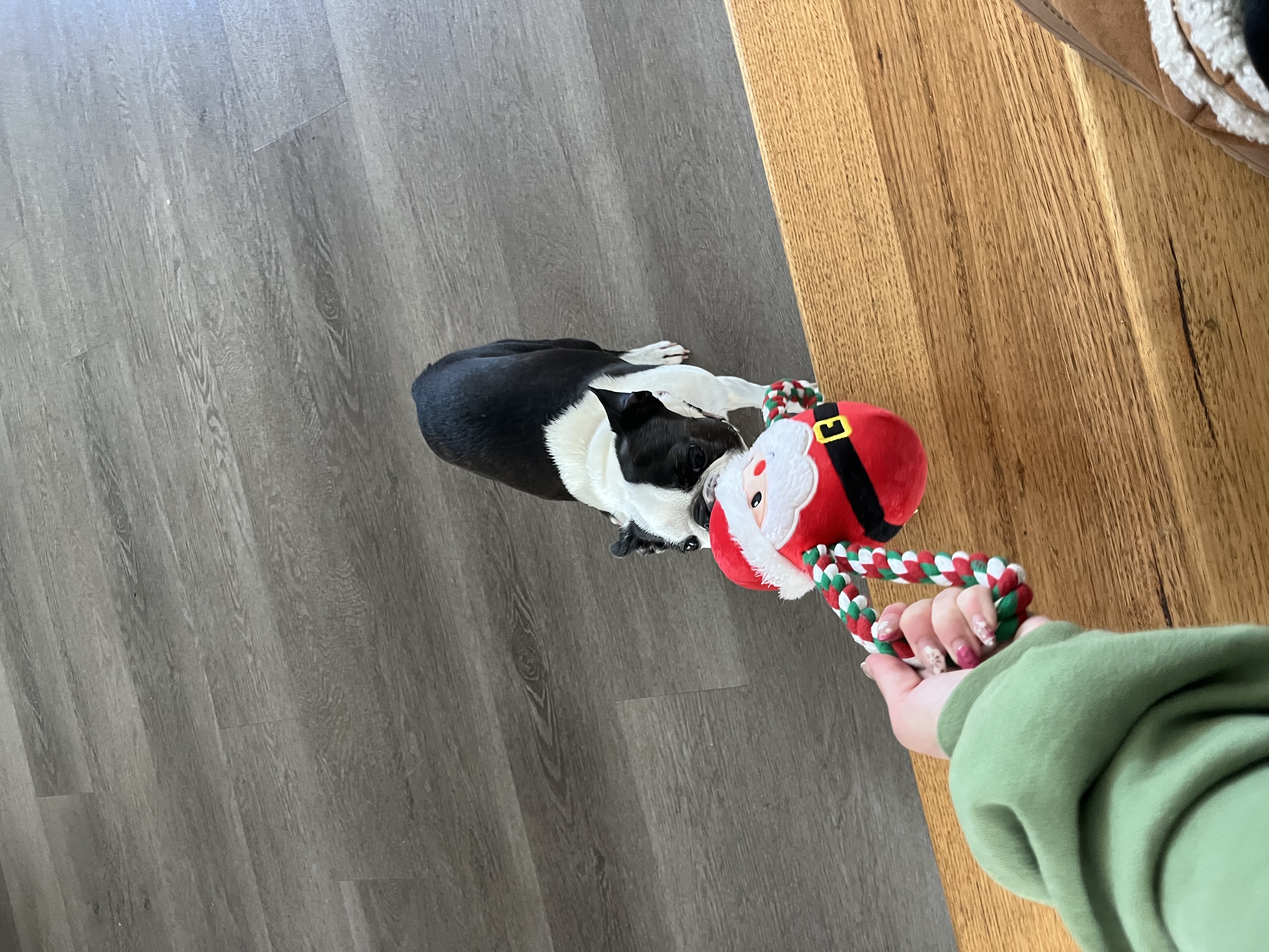 image-5