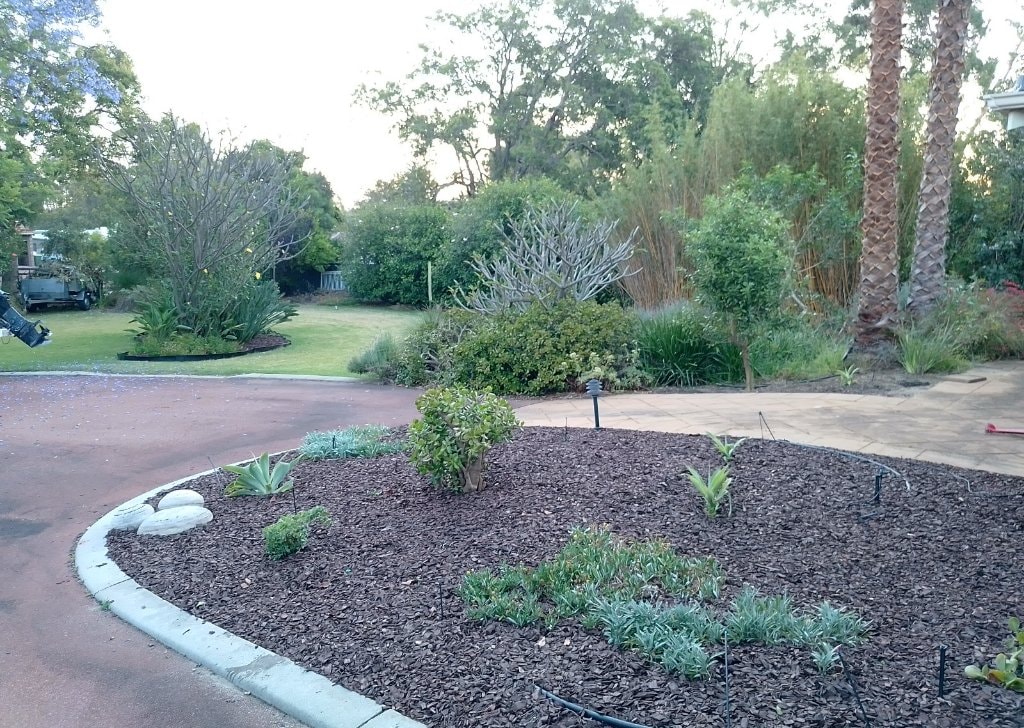 image-12