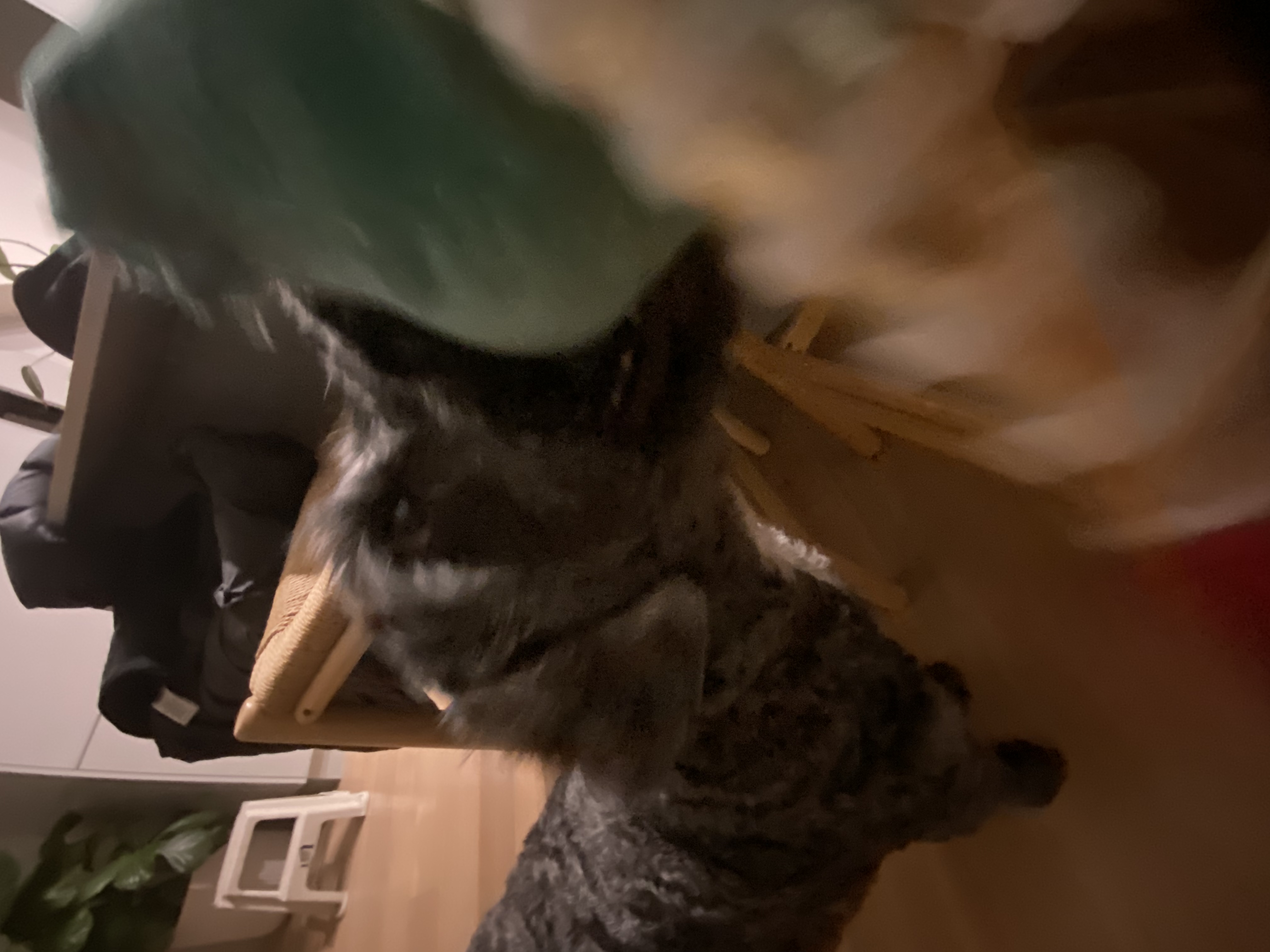 image-7