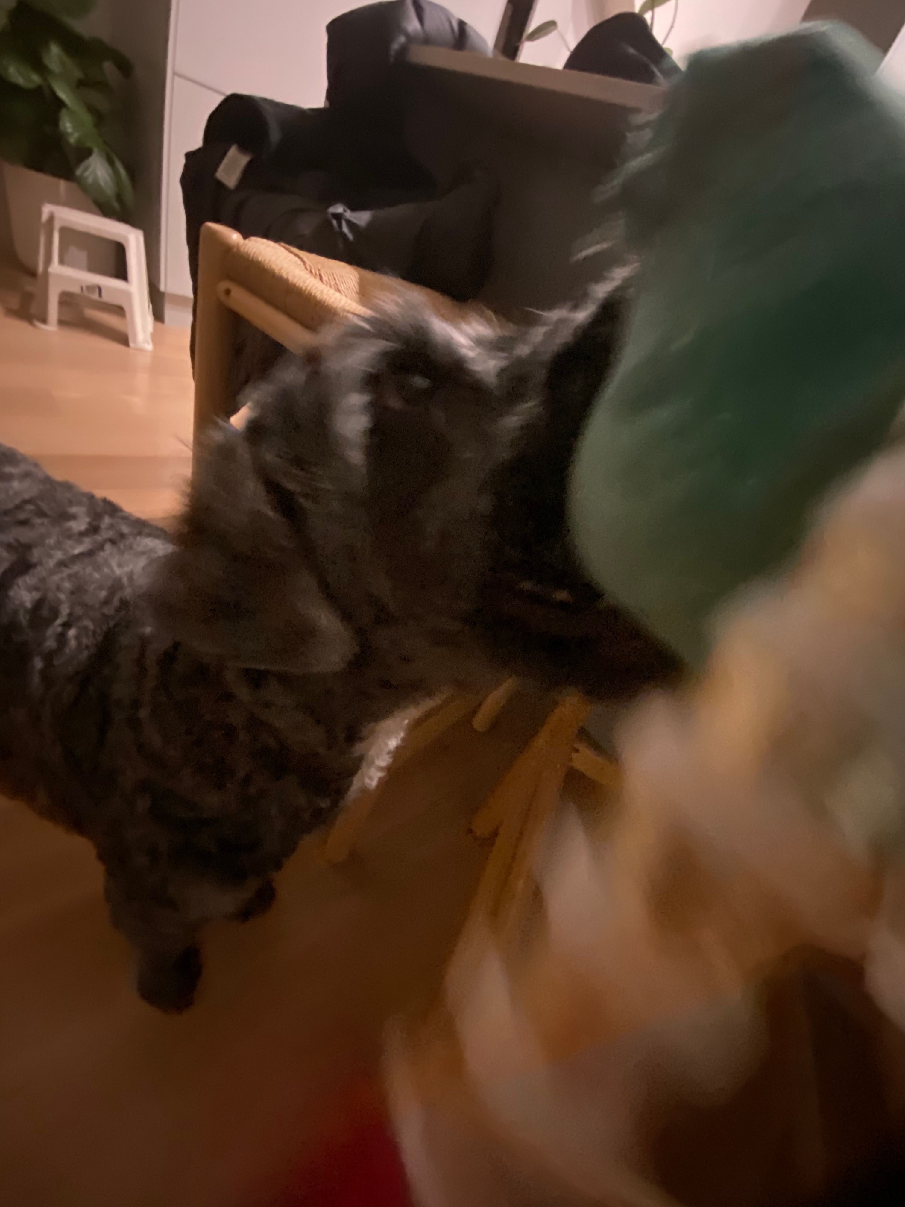 image-7