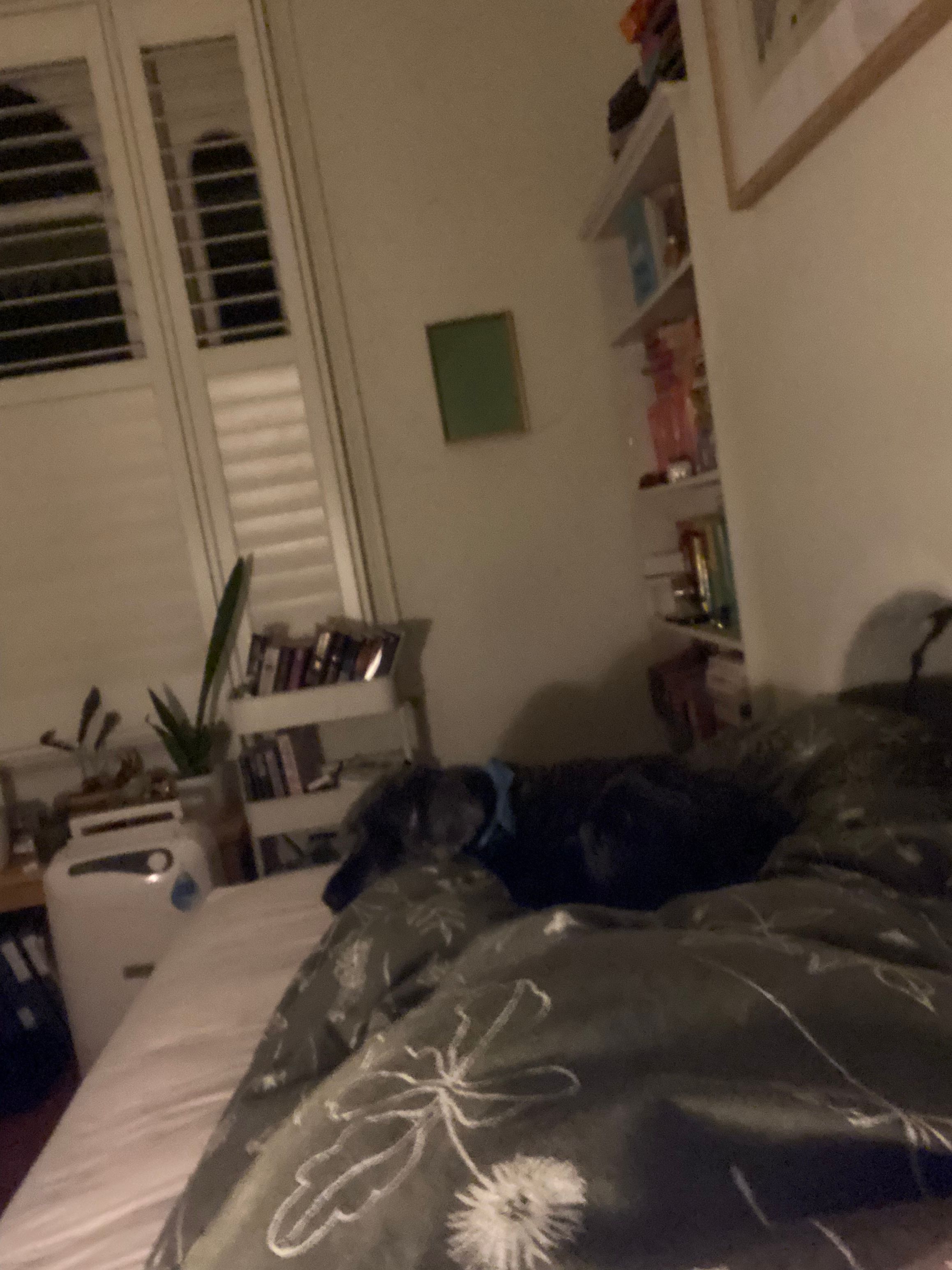 image-9