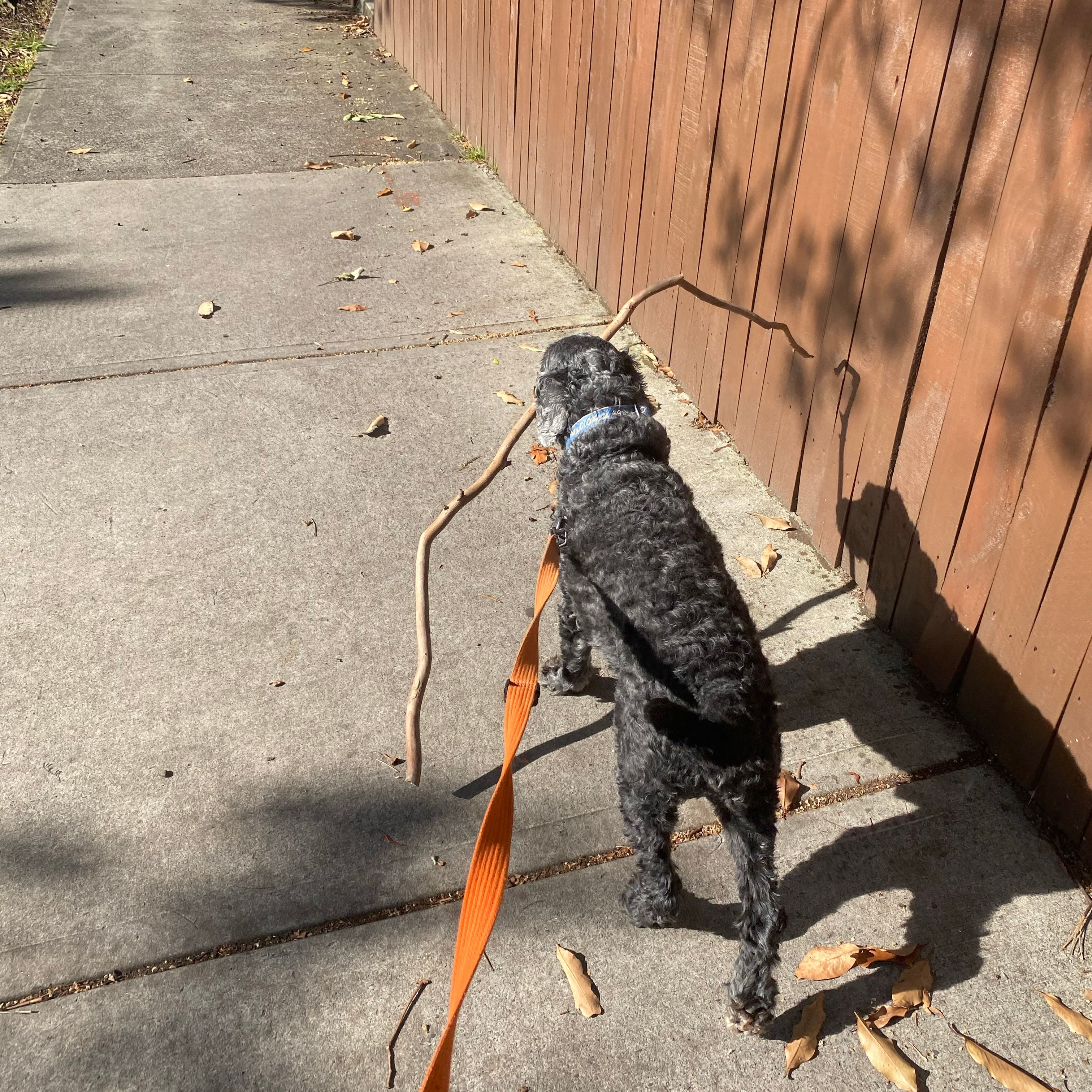 Milo