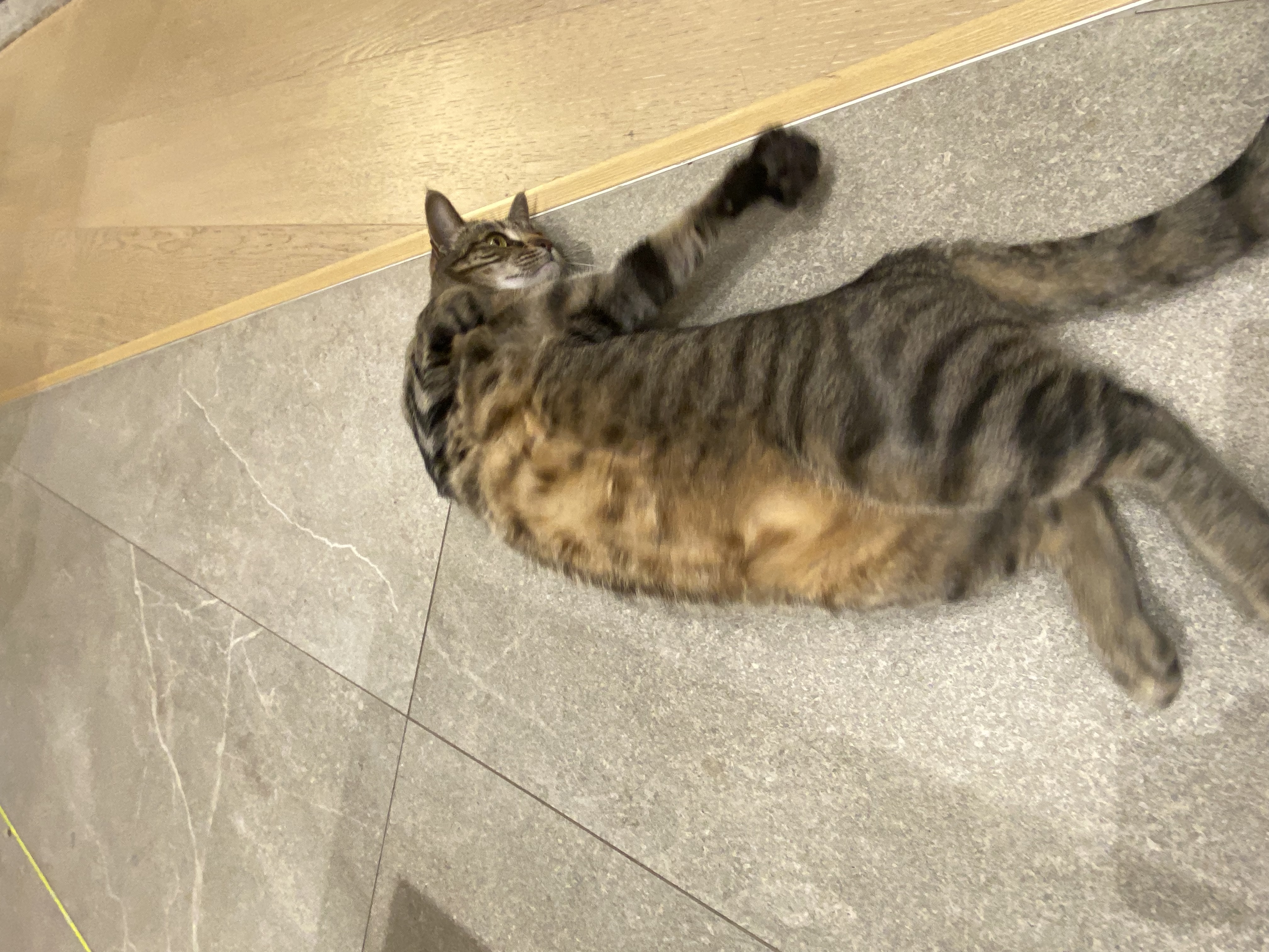 image-8