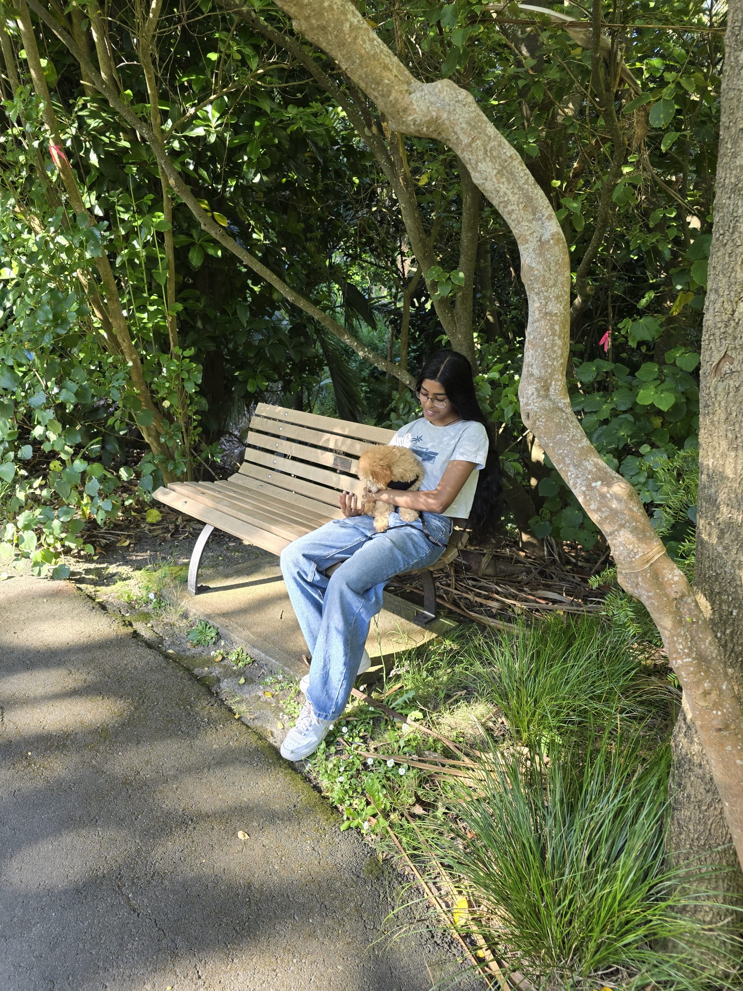 image-4