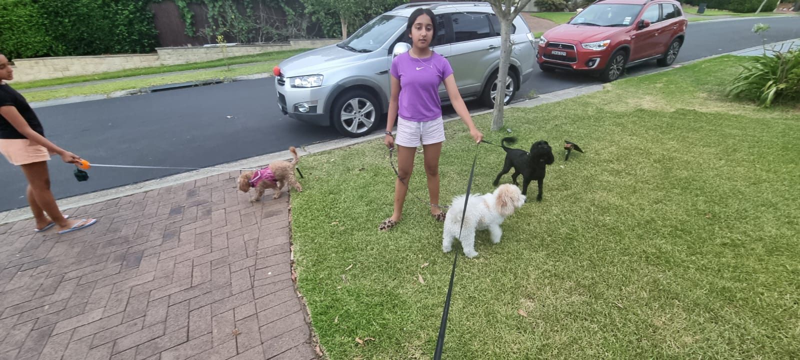 image-17