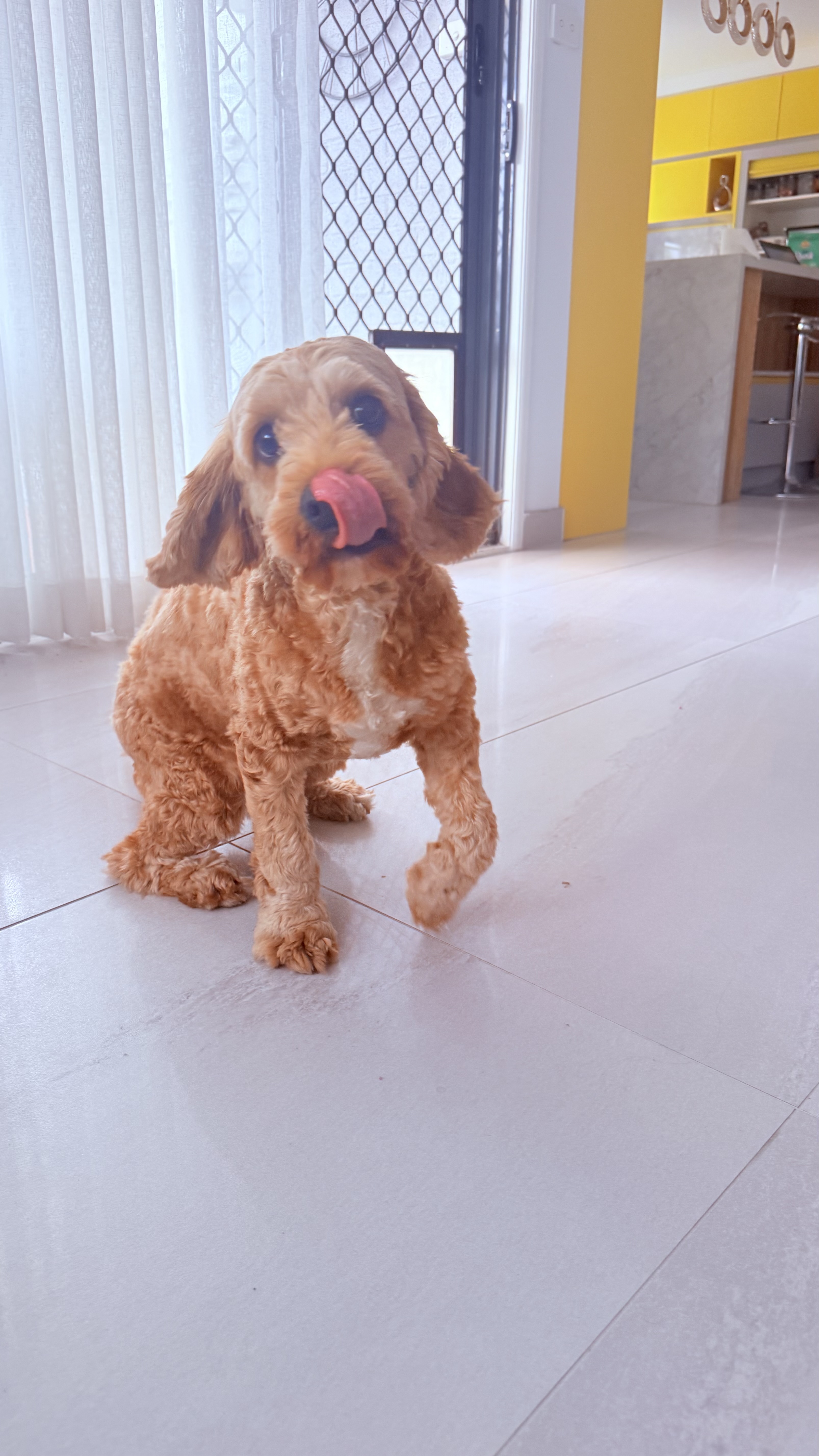 image-5