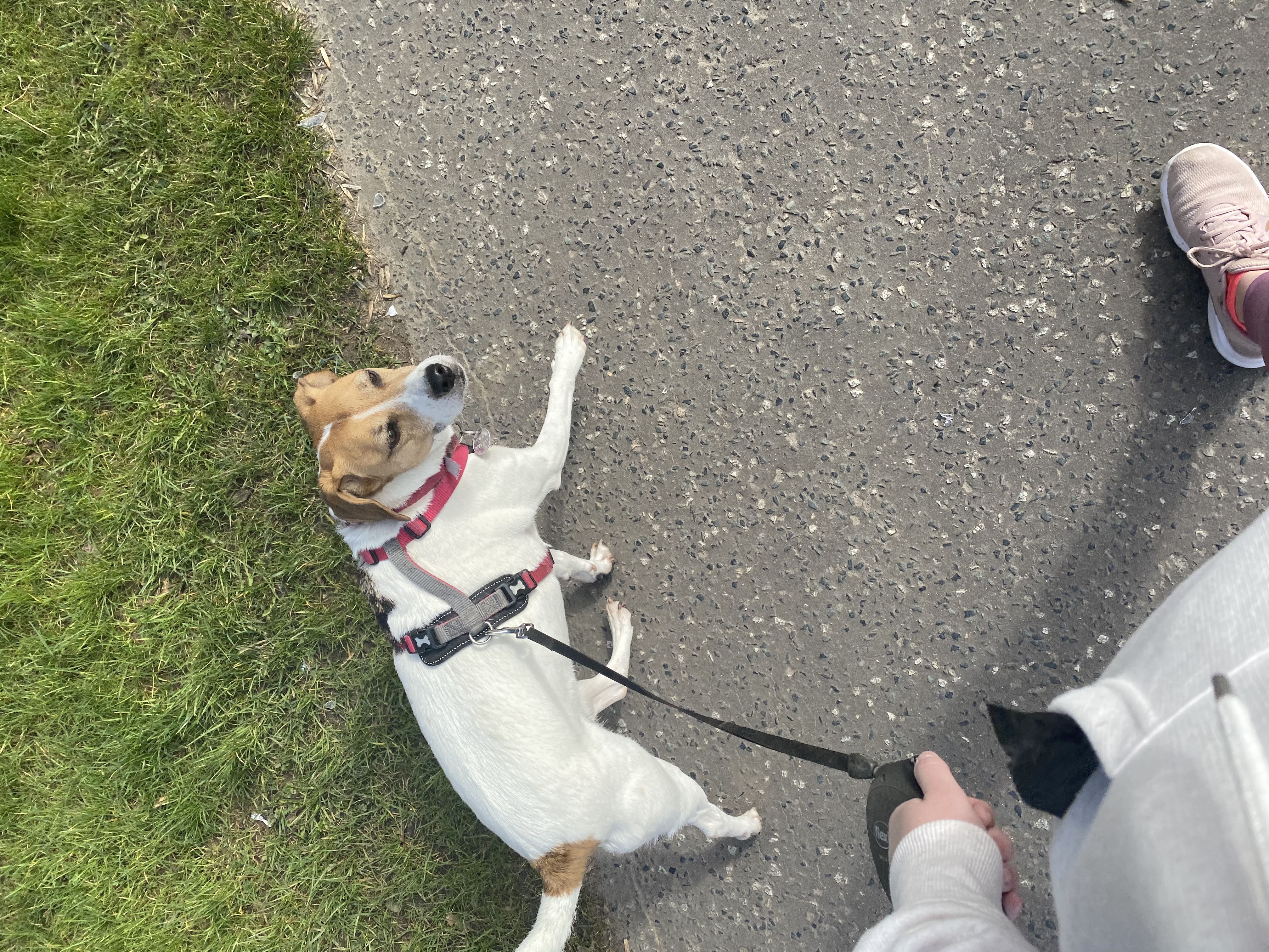 image-9