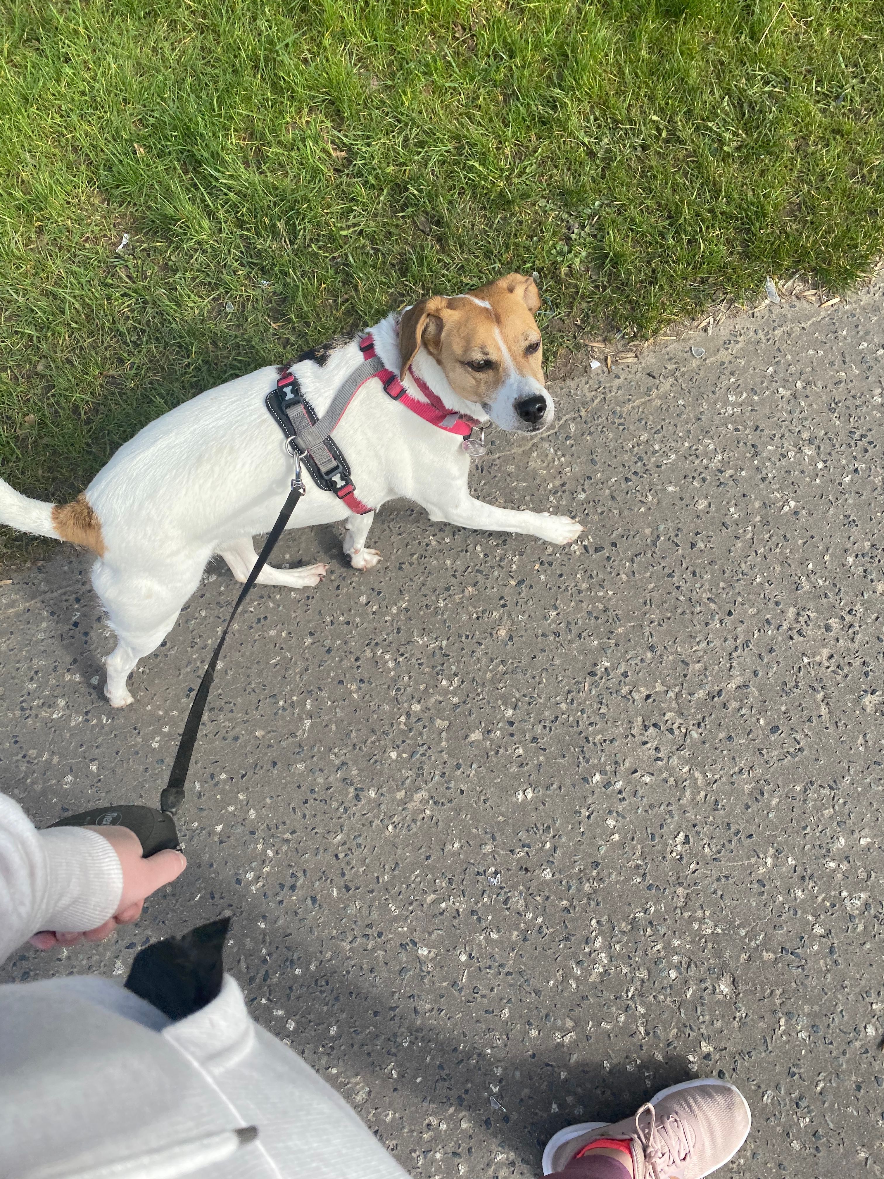 image-9
