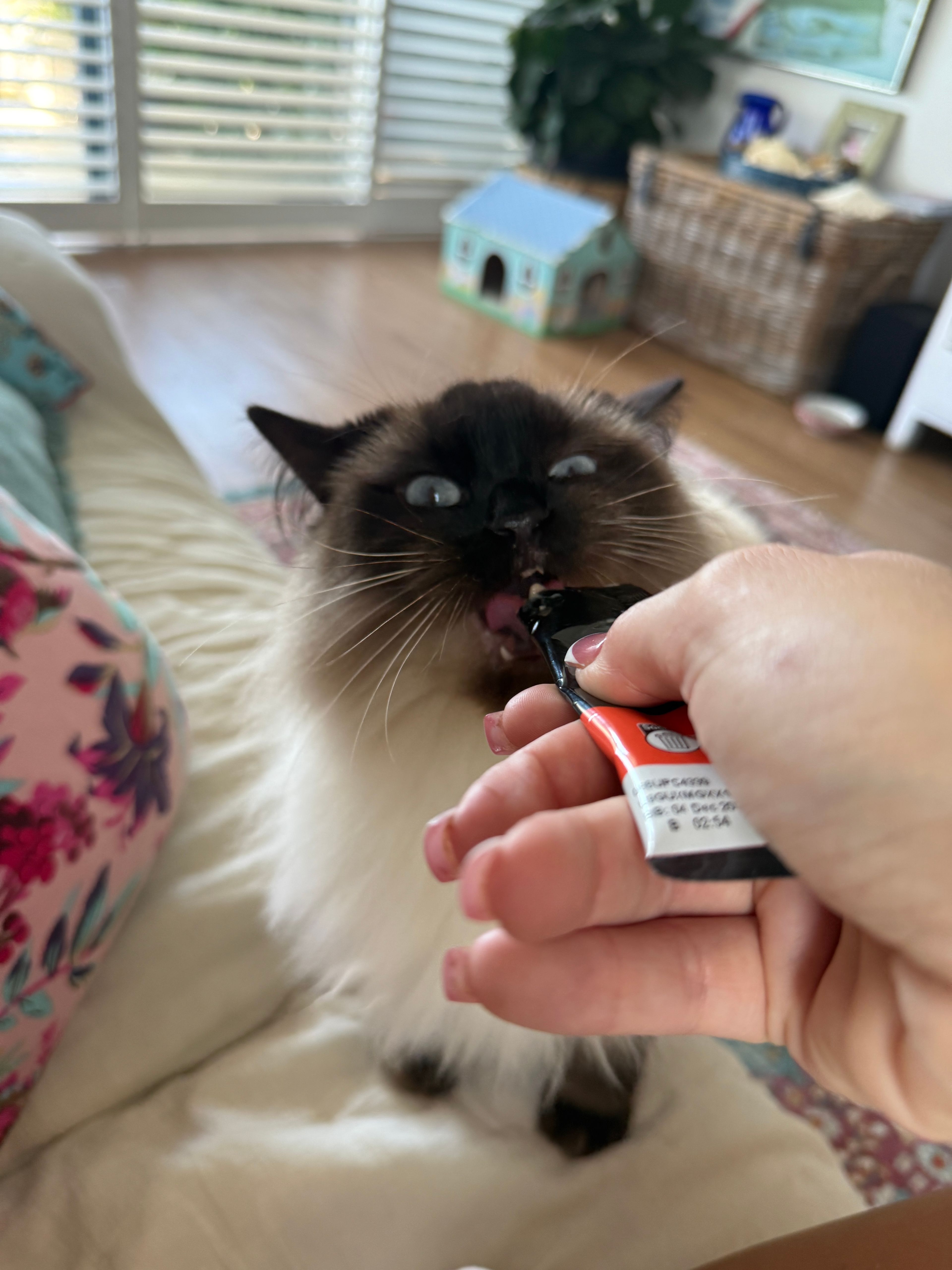 image-10