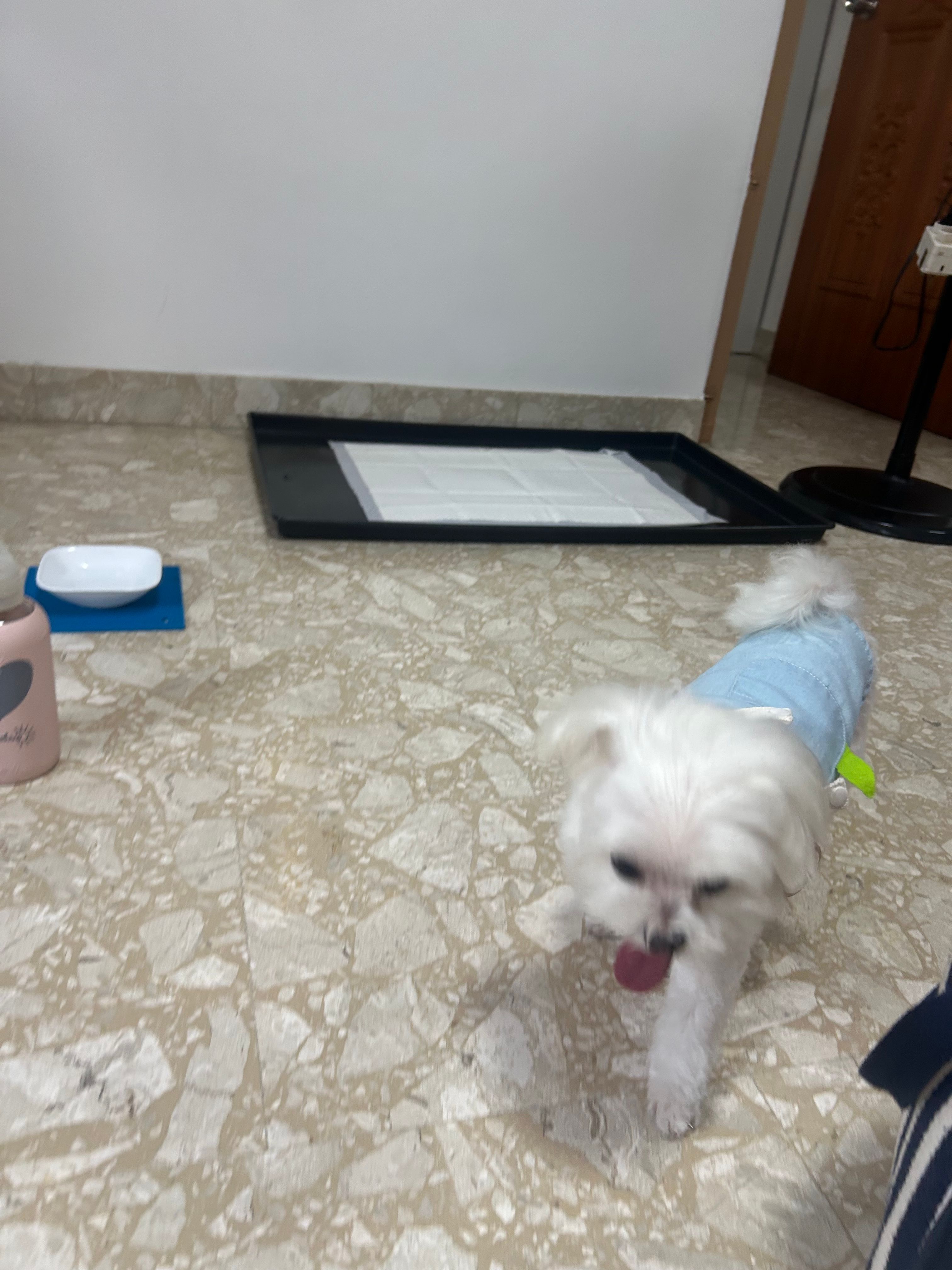 image-18
