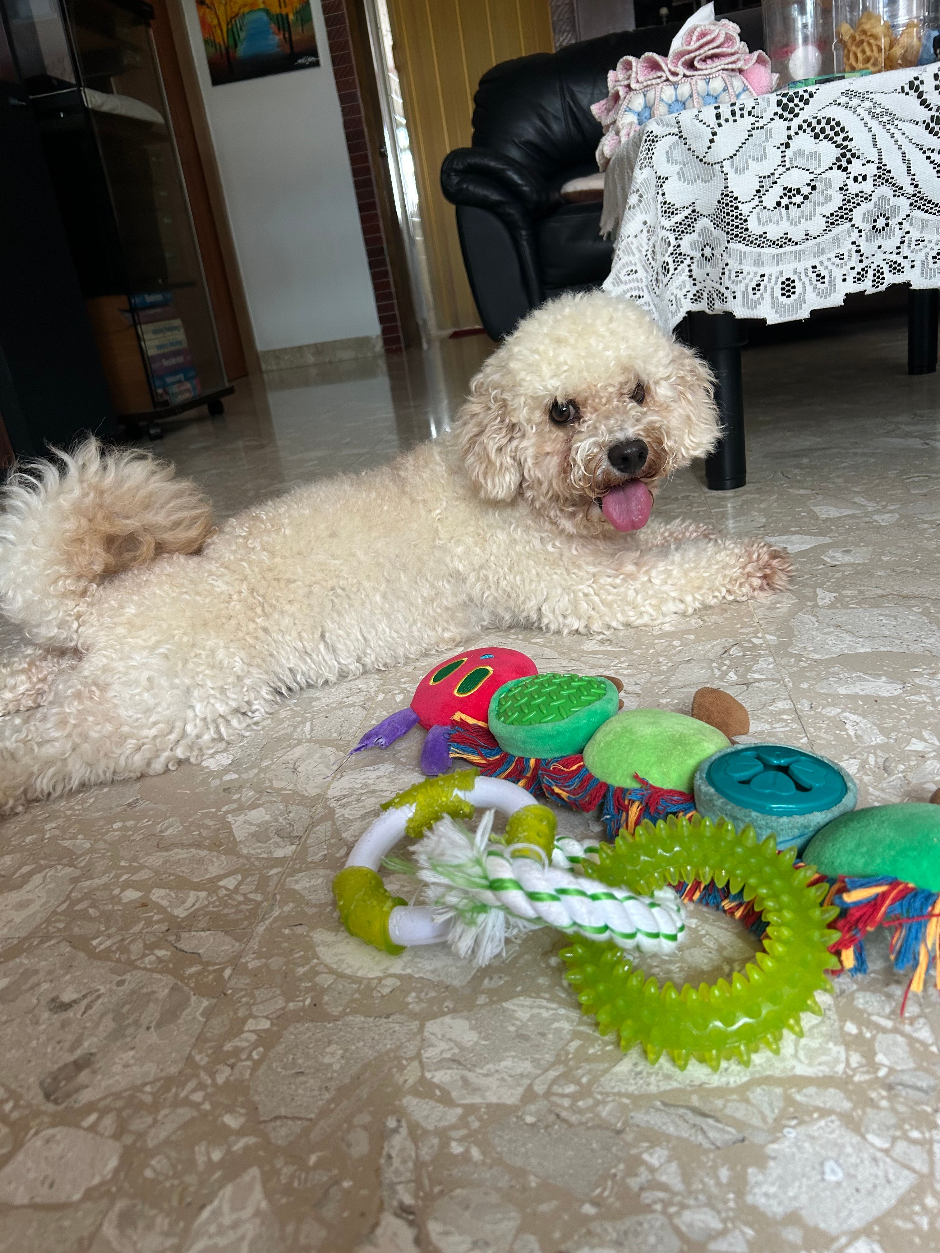 image-11