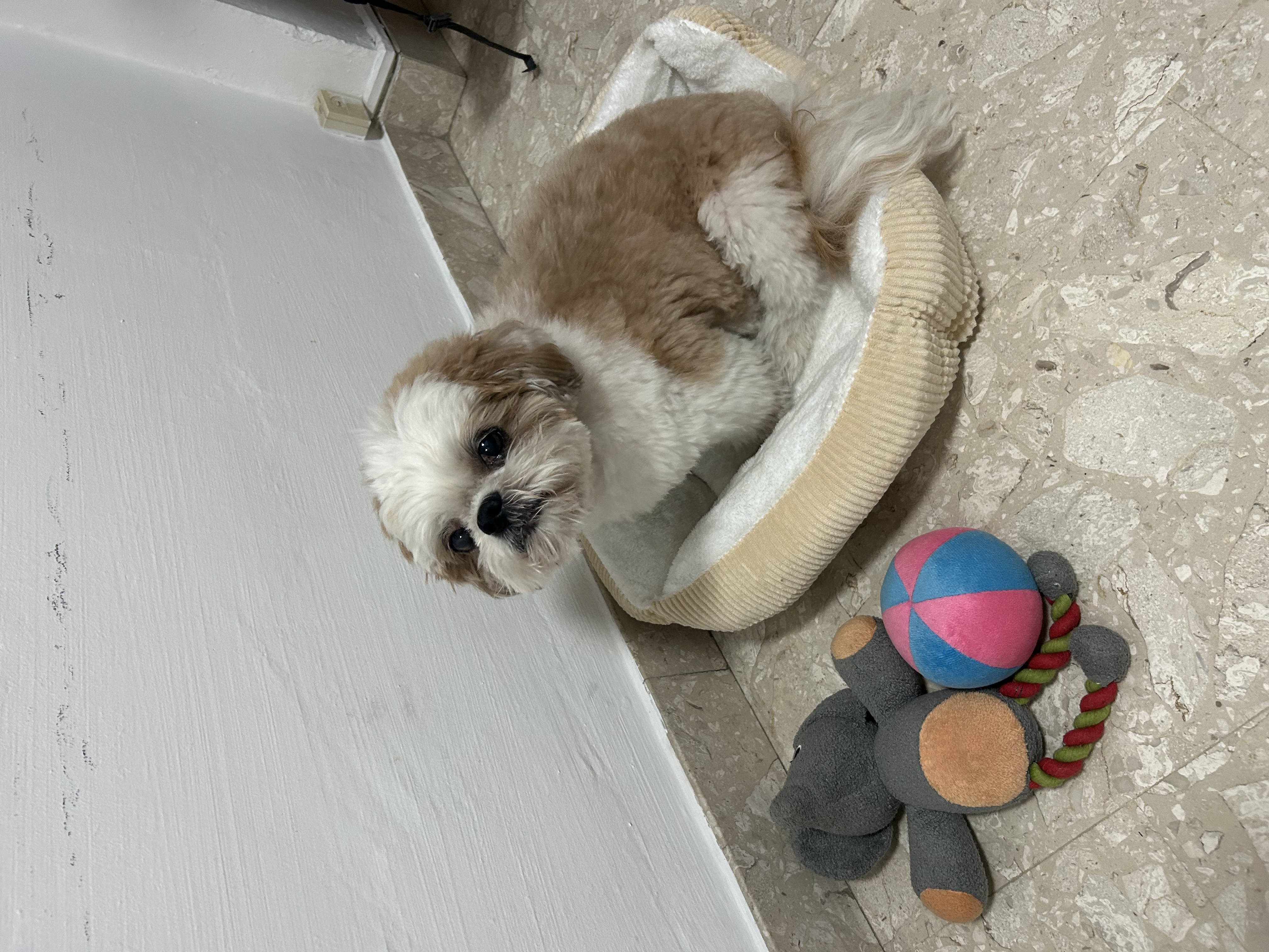 image-13