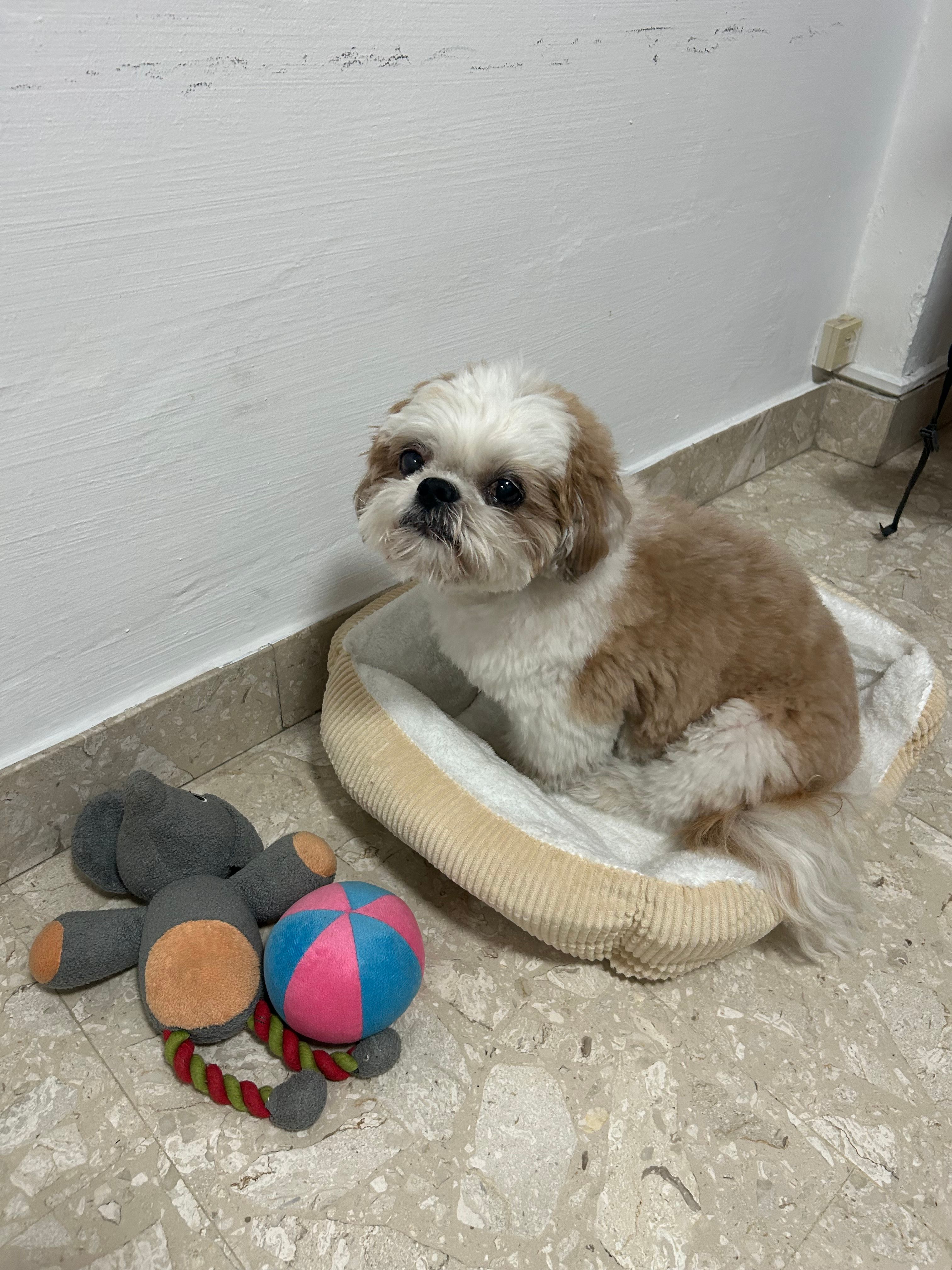 image-13