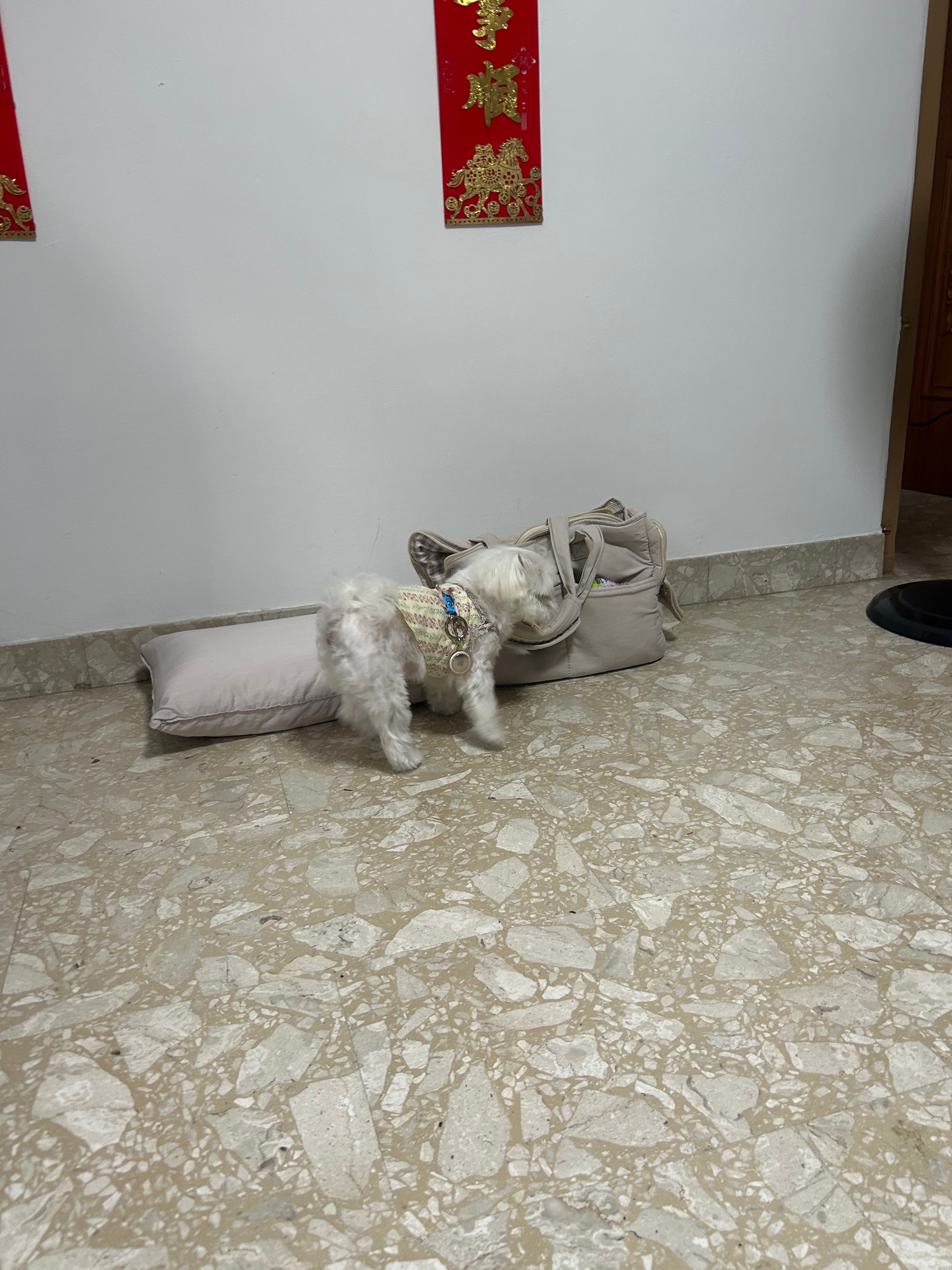 image-23
