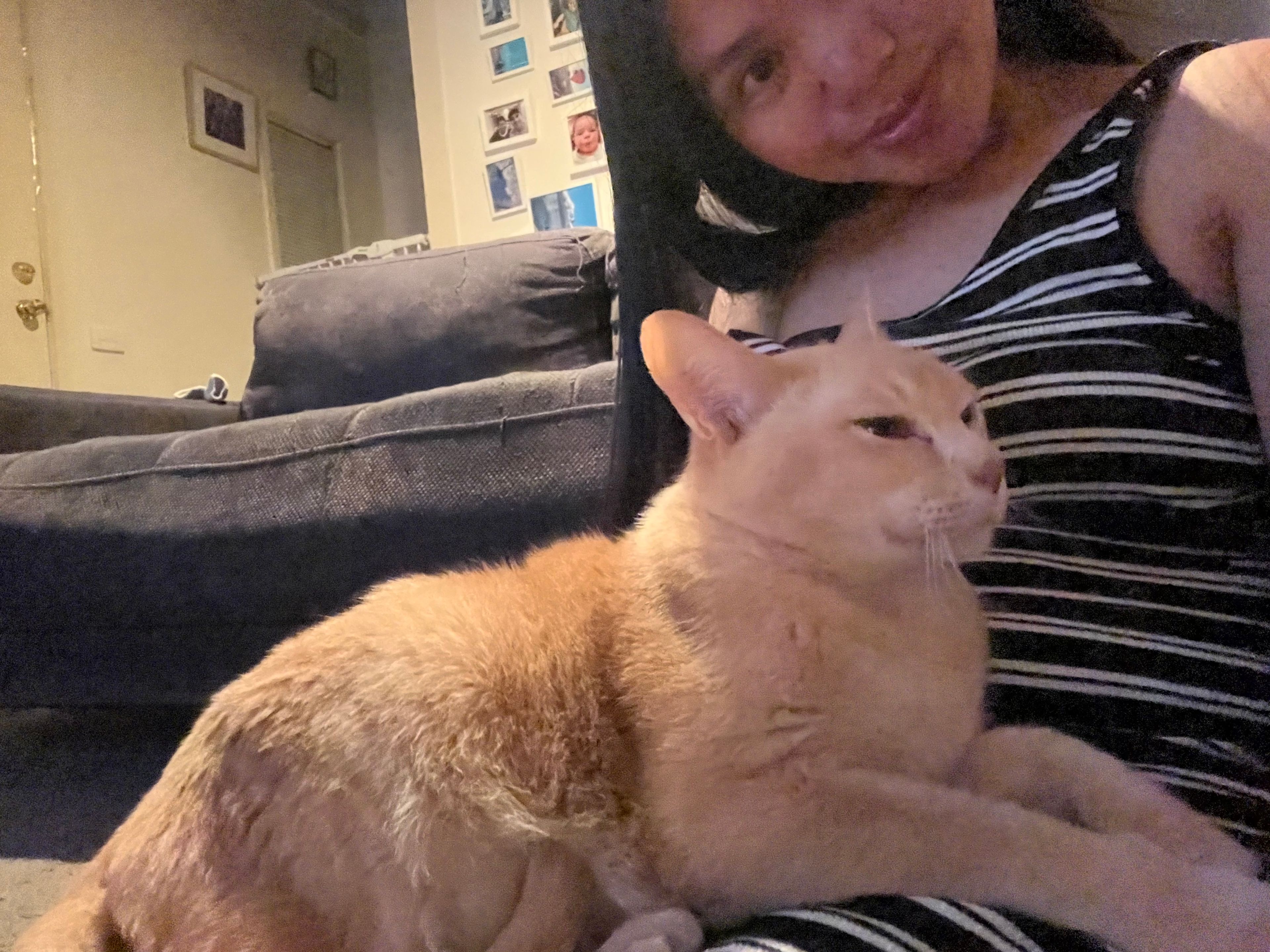 image-27