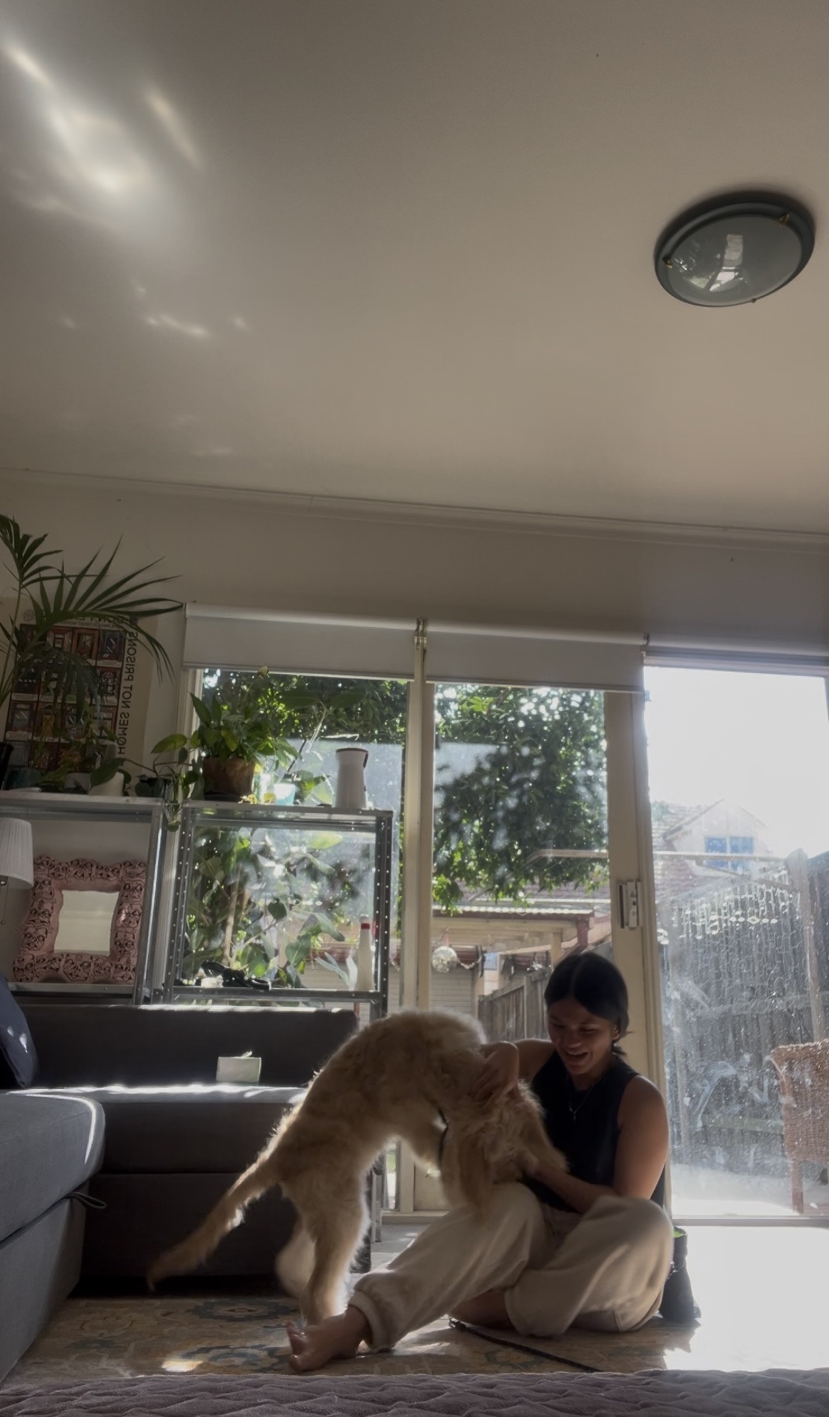 image-11