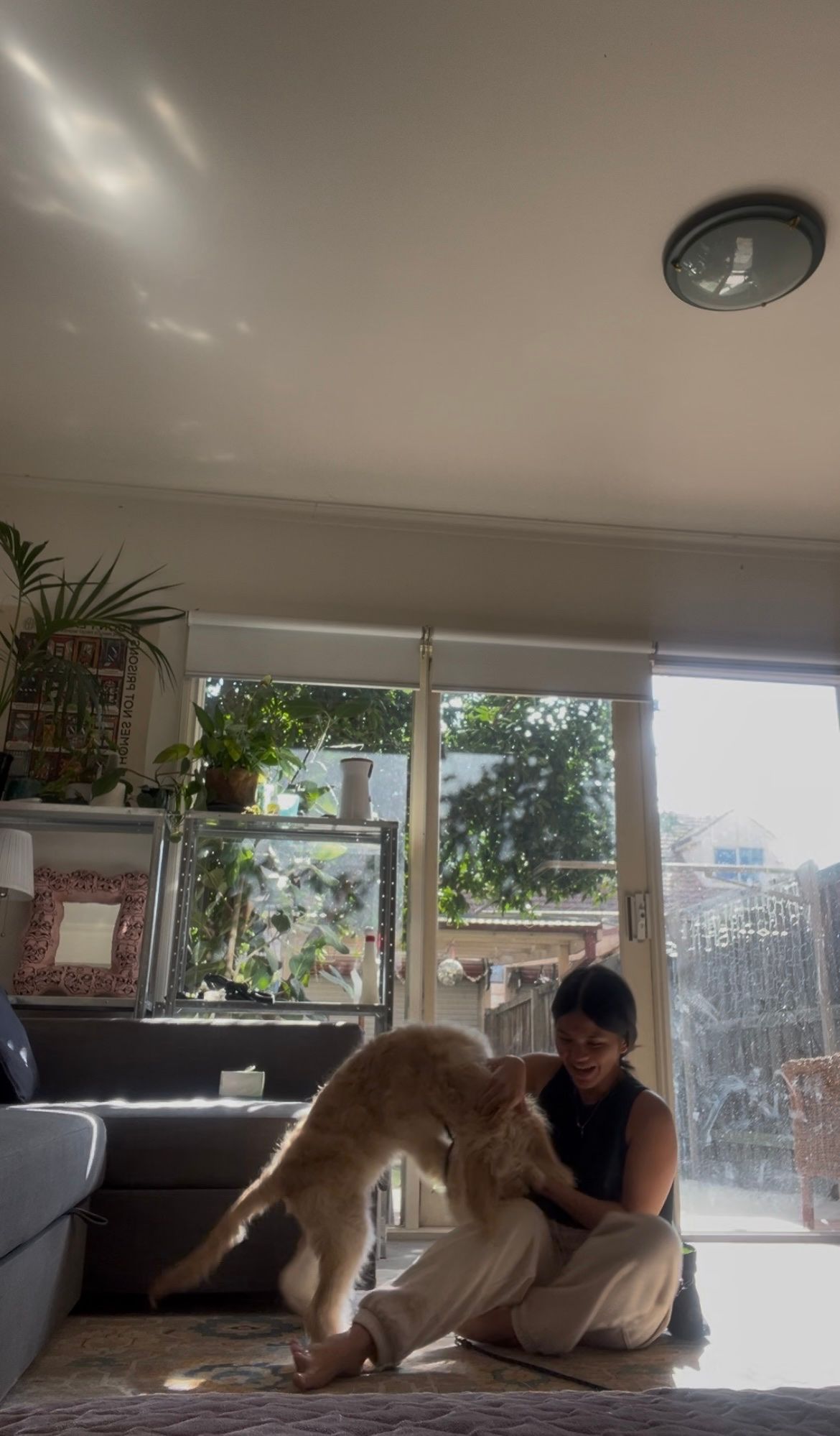 image-11